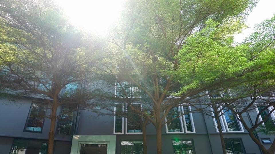 BB House Khlong Tan บีบีเฮ้าส์ คลองตัน