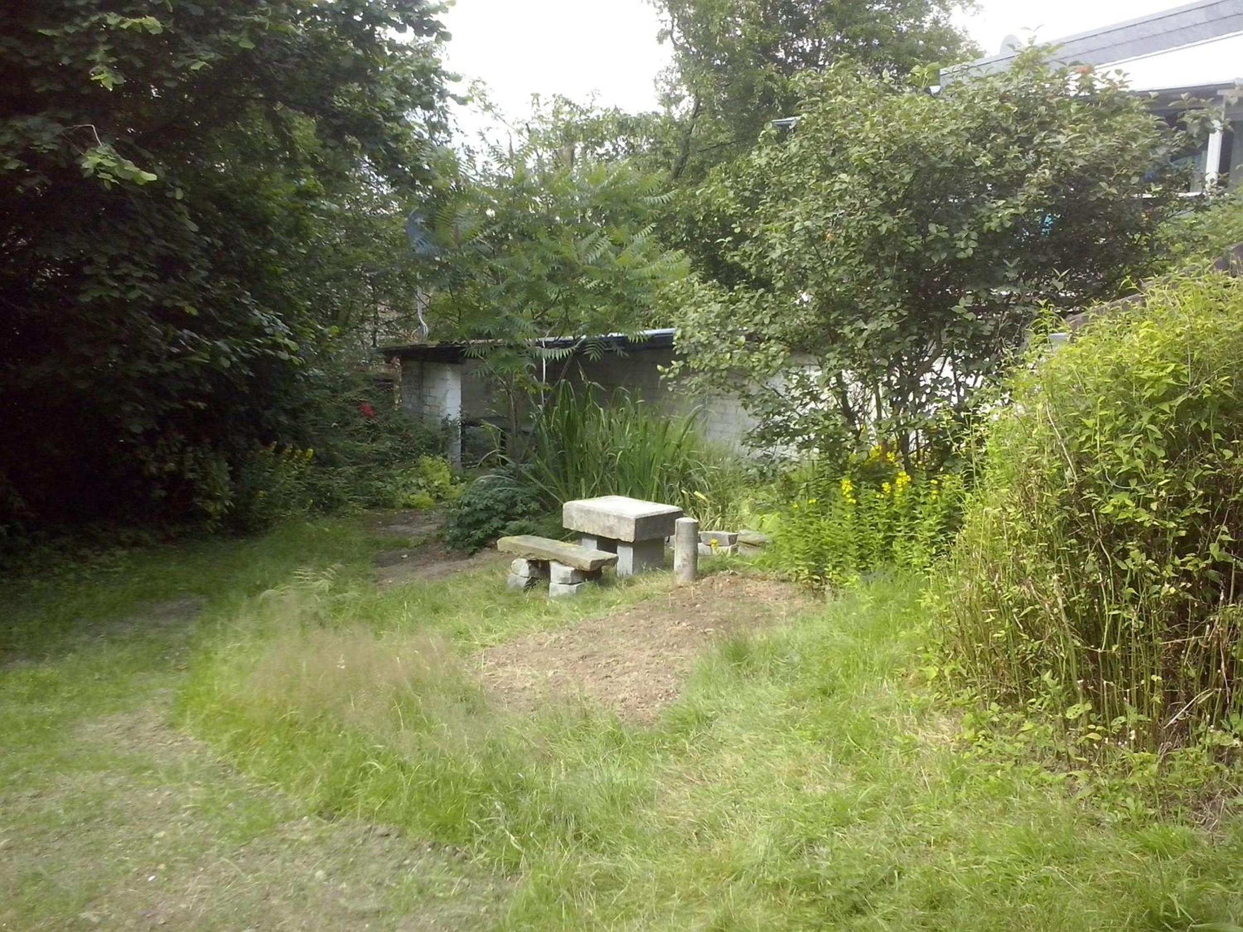Photo 12