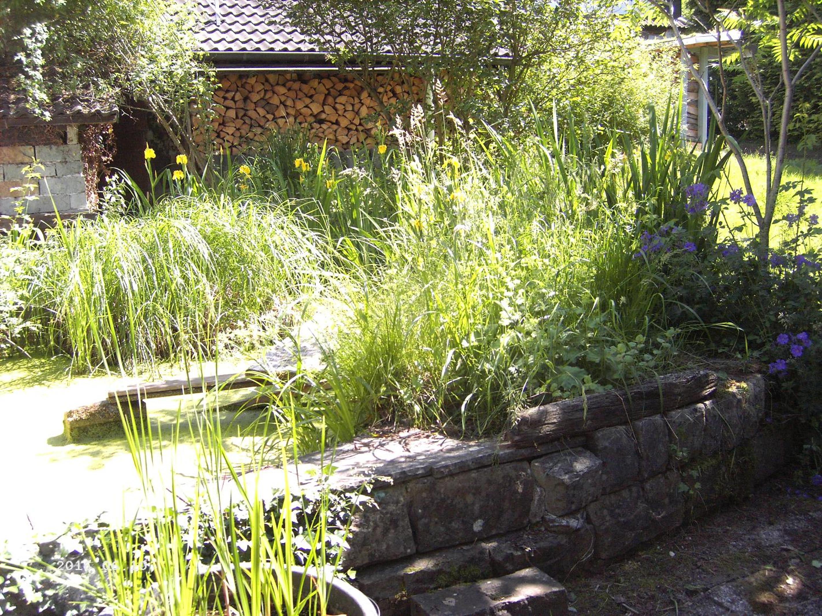 Photo 16