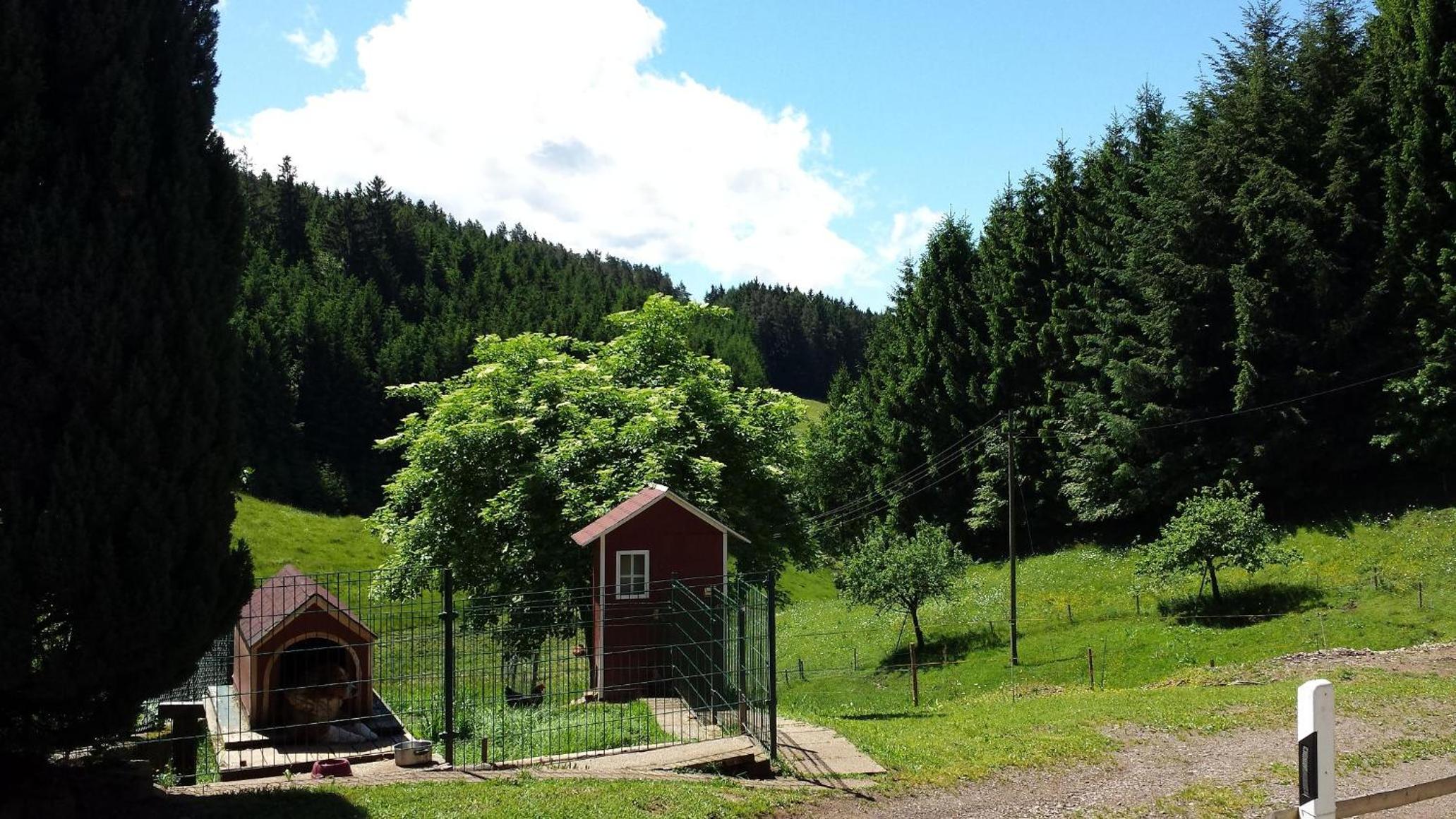 Ferienwohnung Ringwald