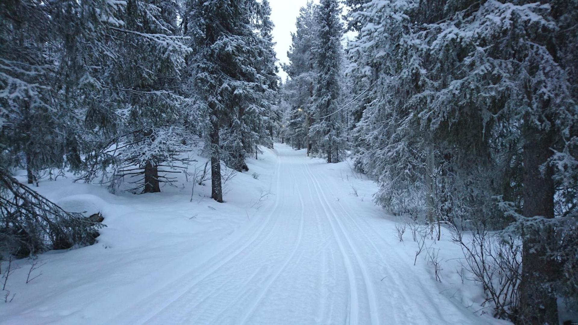 Lapland Snow Cabin