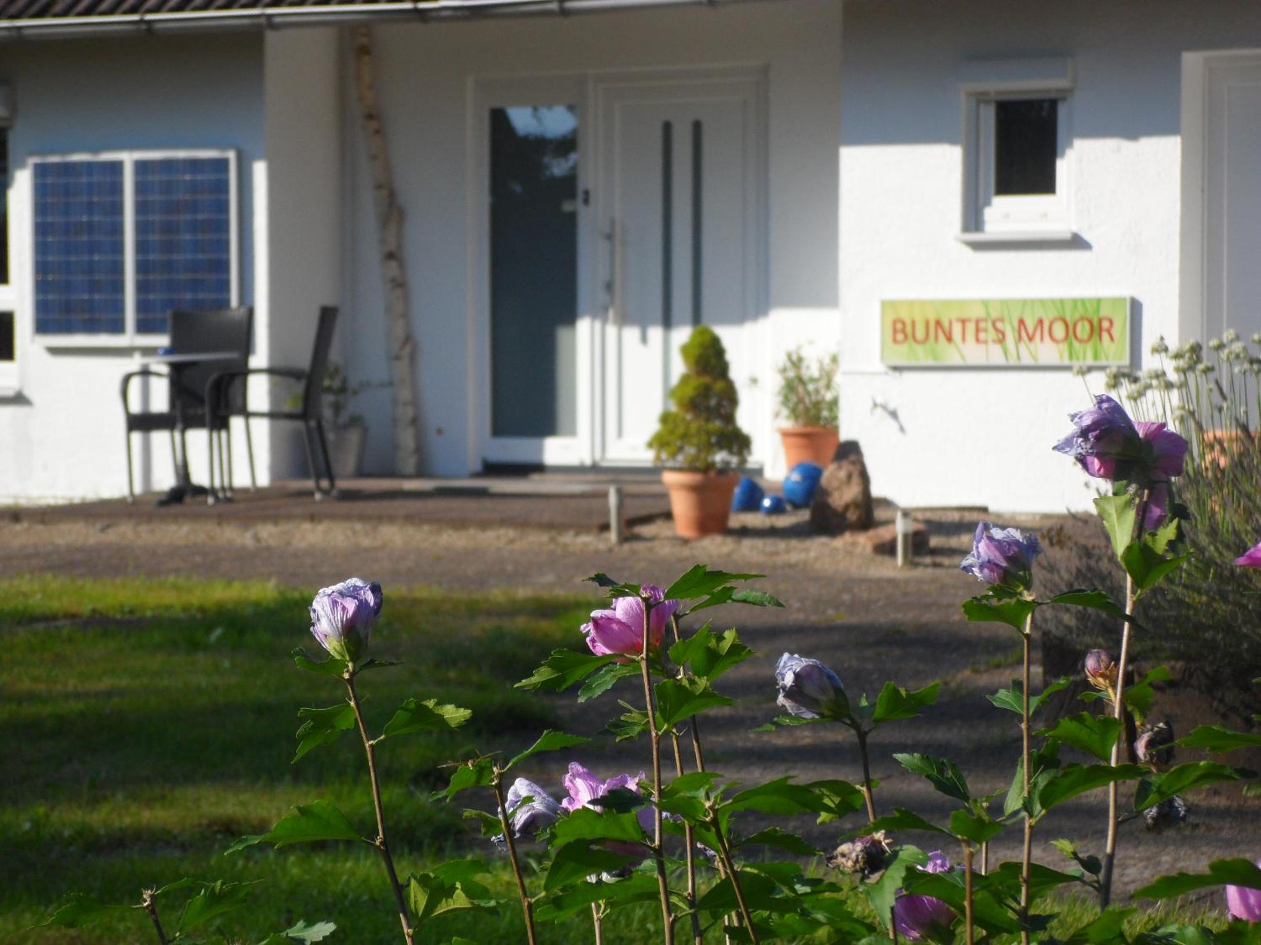 Buntes Moor