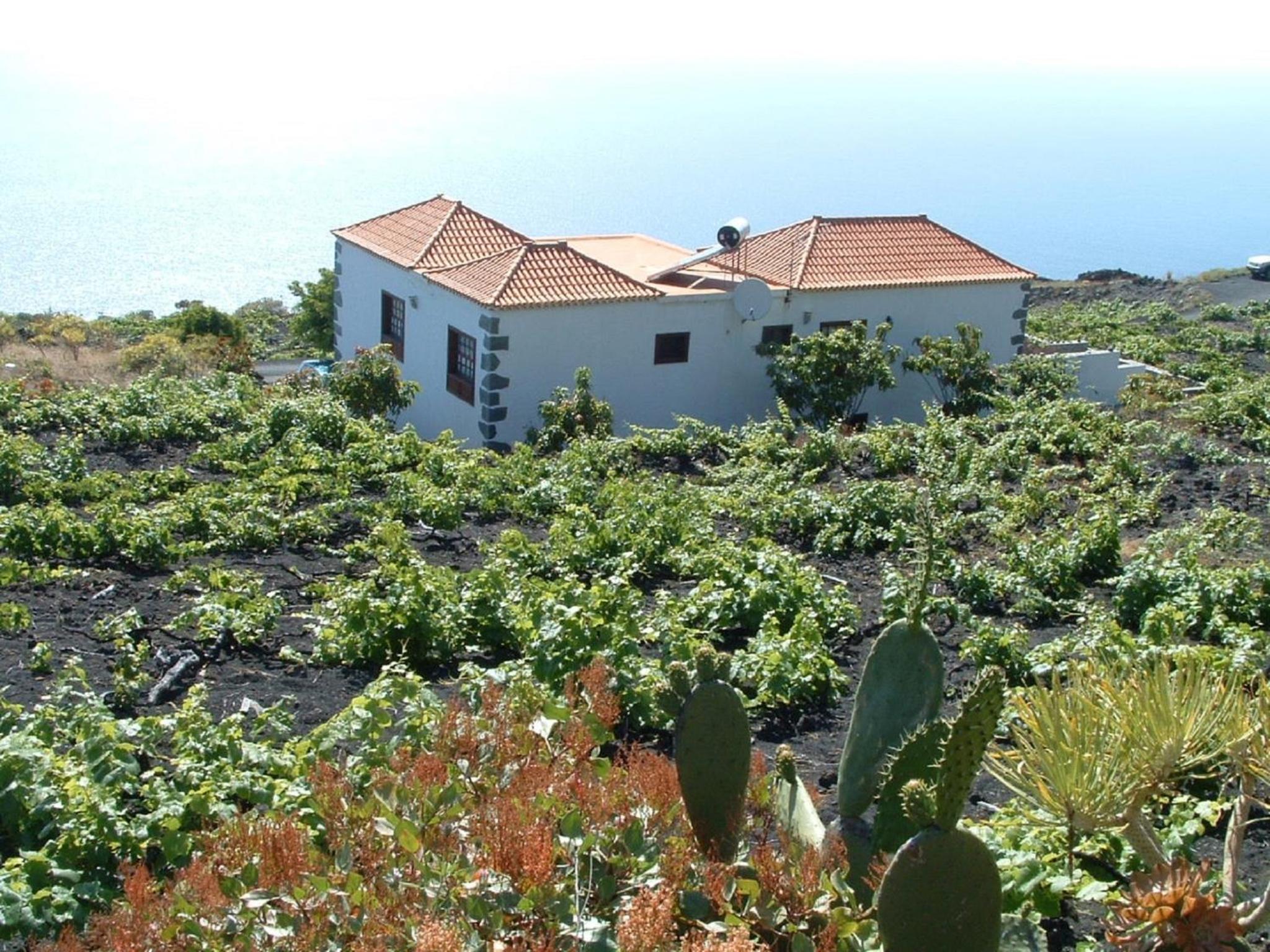 Casa las Las Viñas
