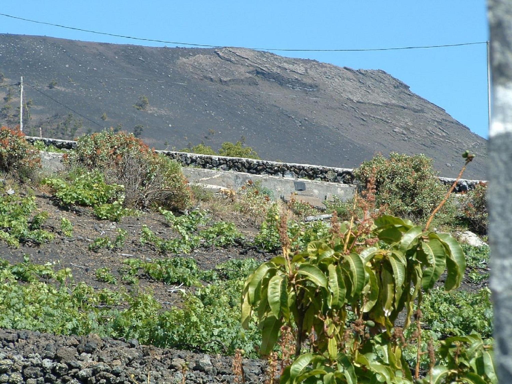 Casa las Las Viñas