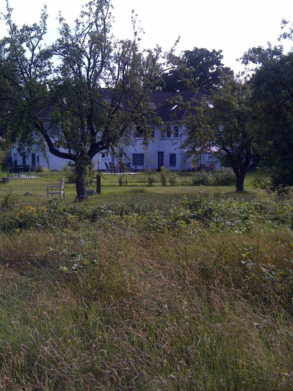 Buntes Moor