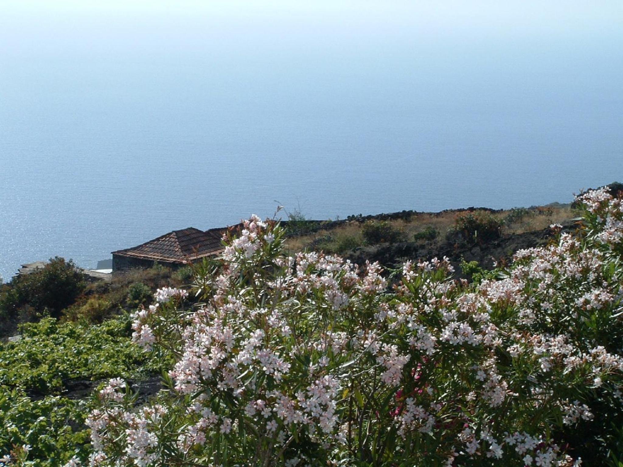 Casa las Las Viñas