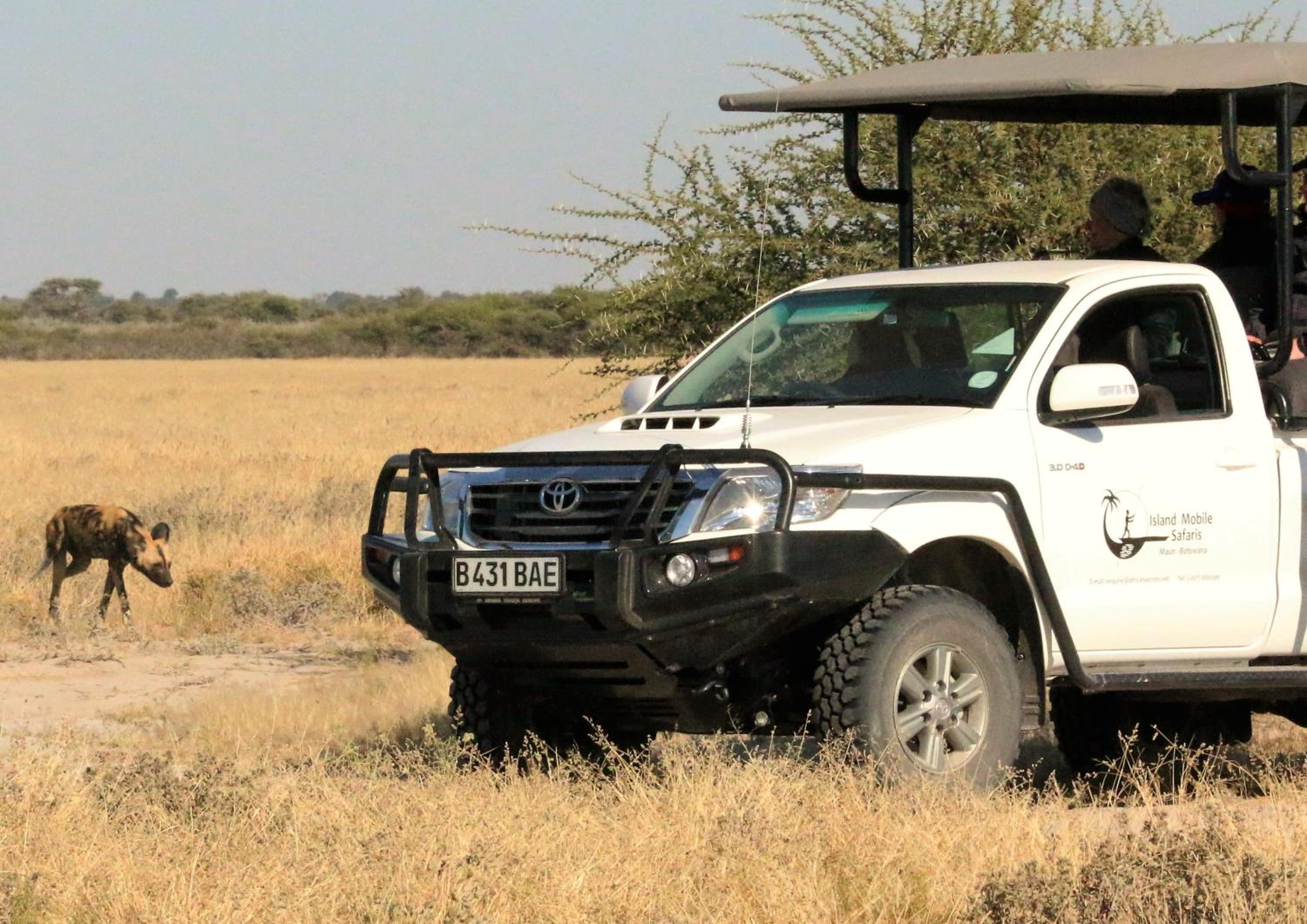 Island Safari Lodge