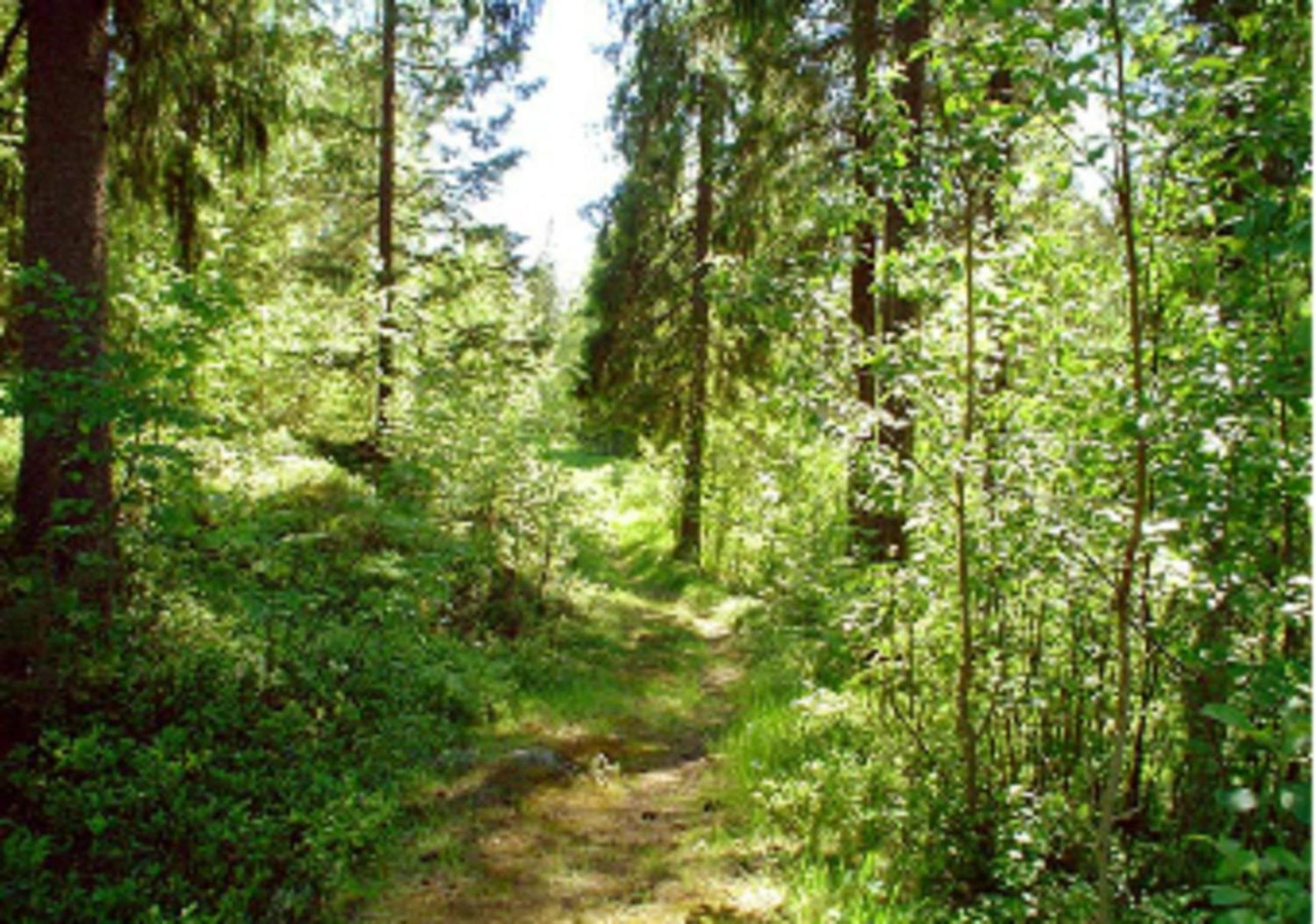 Photo 39