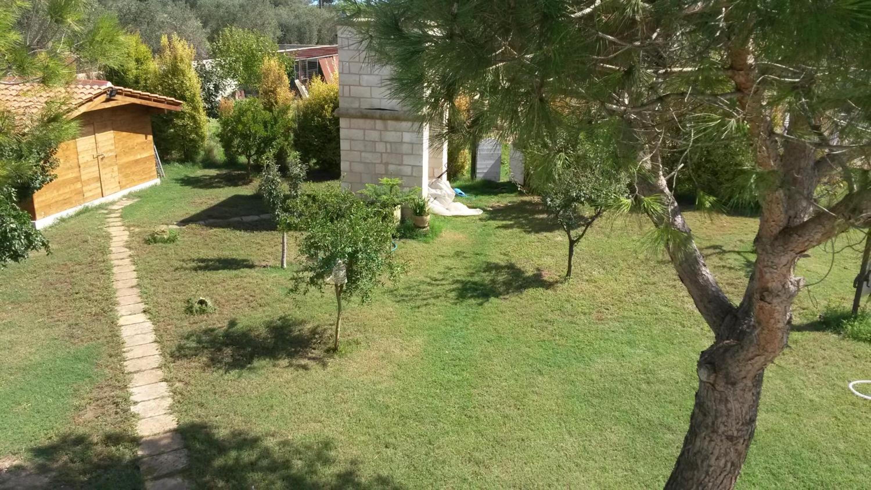 Photo 33