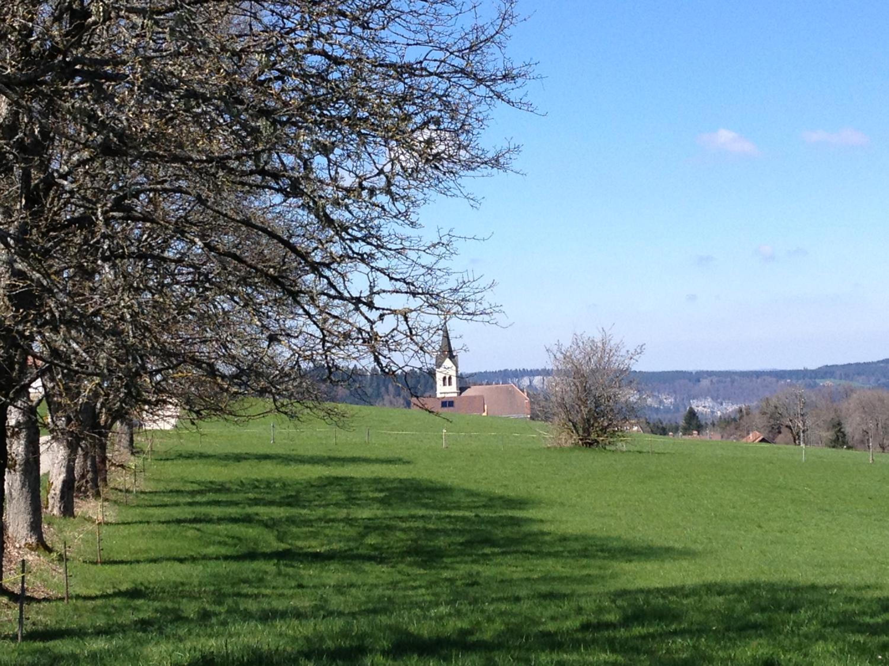 Photo 41