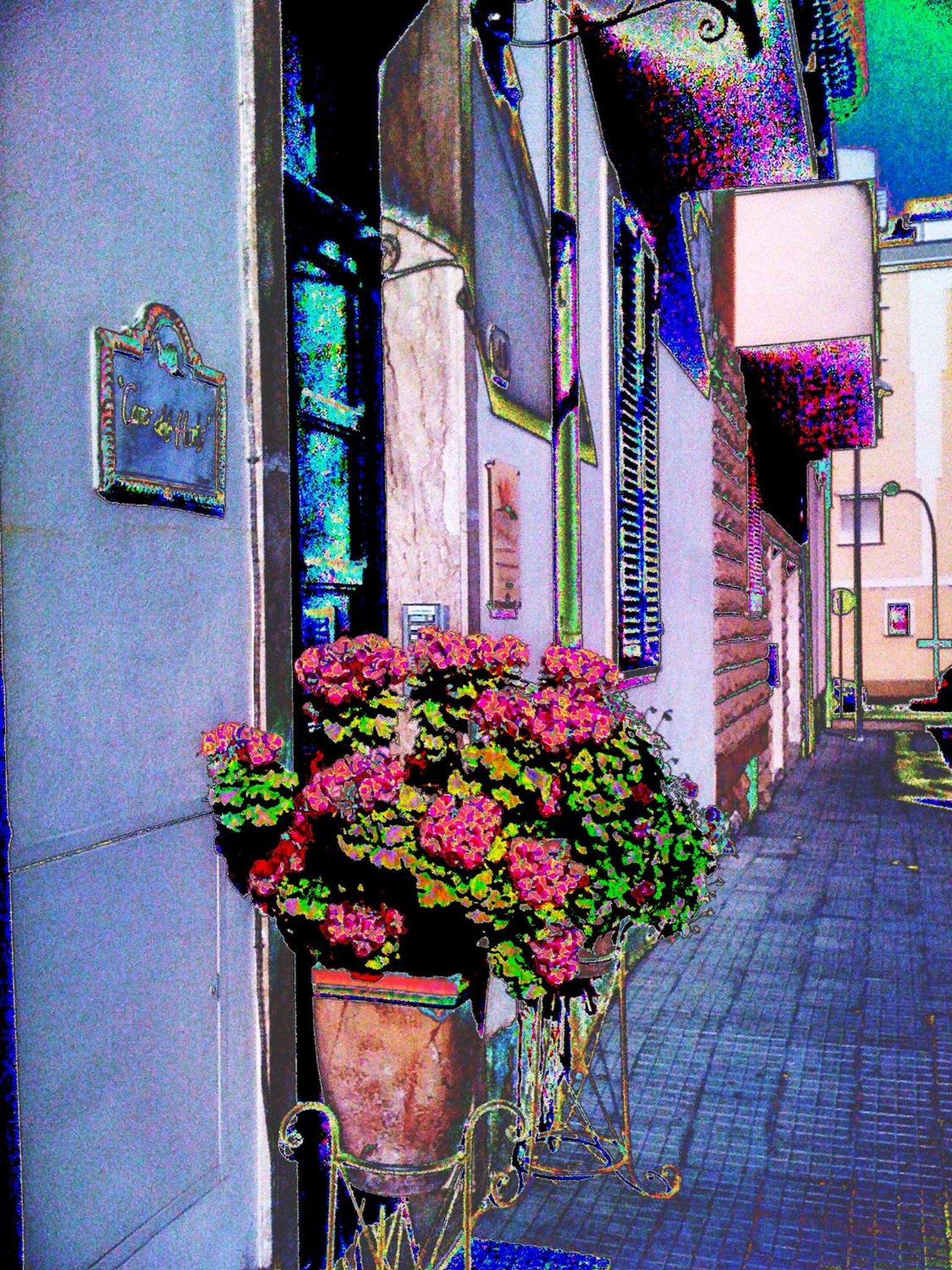 Photo 27