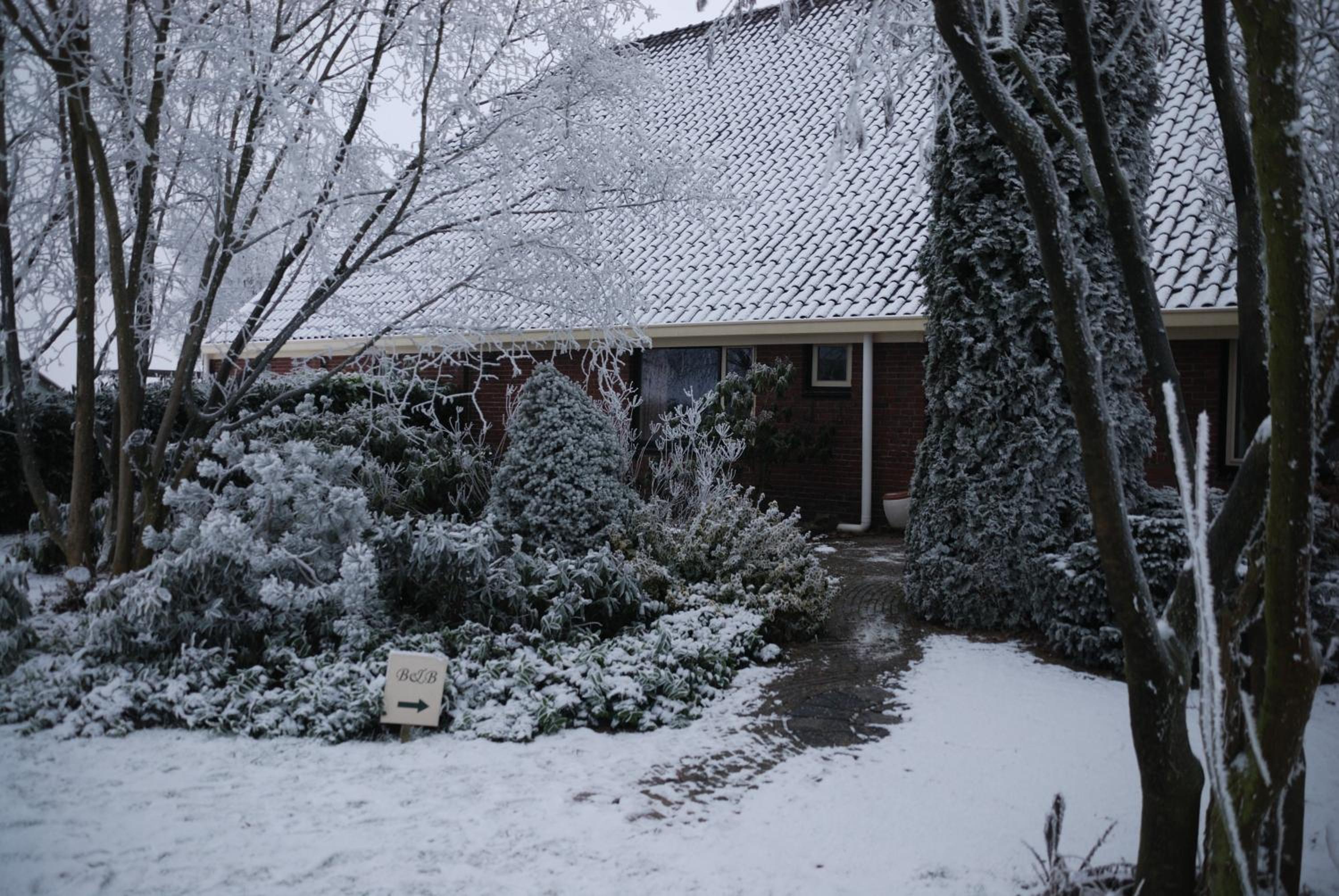 Photo 14