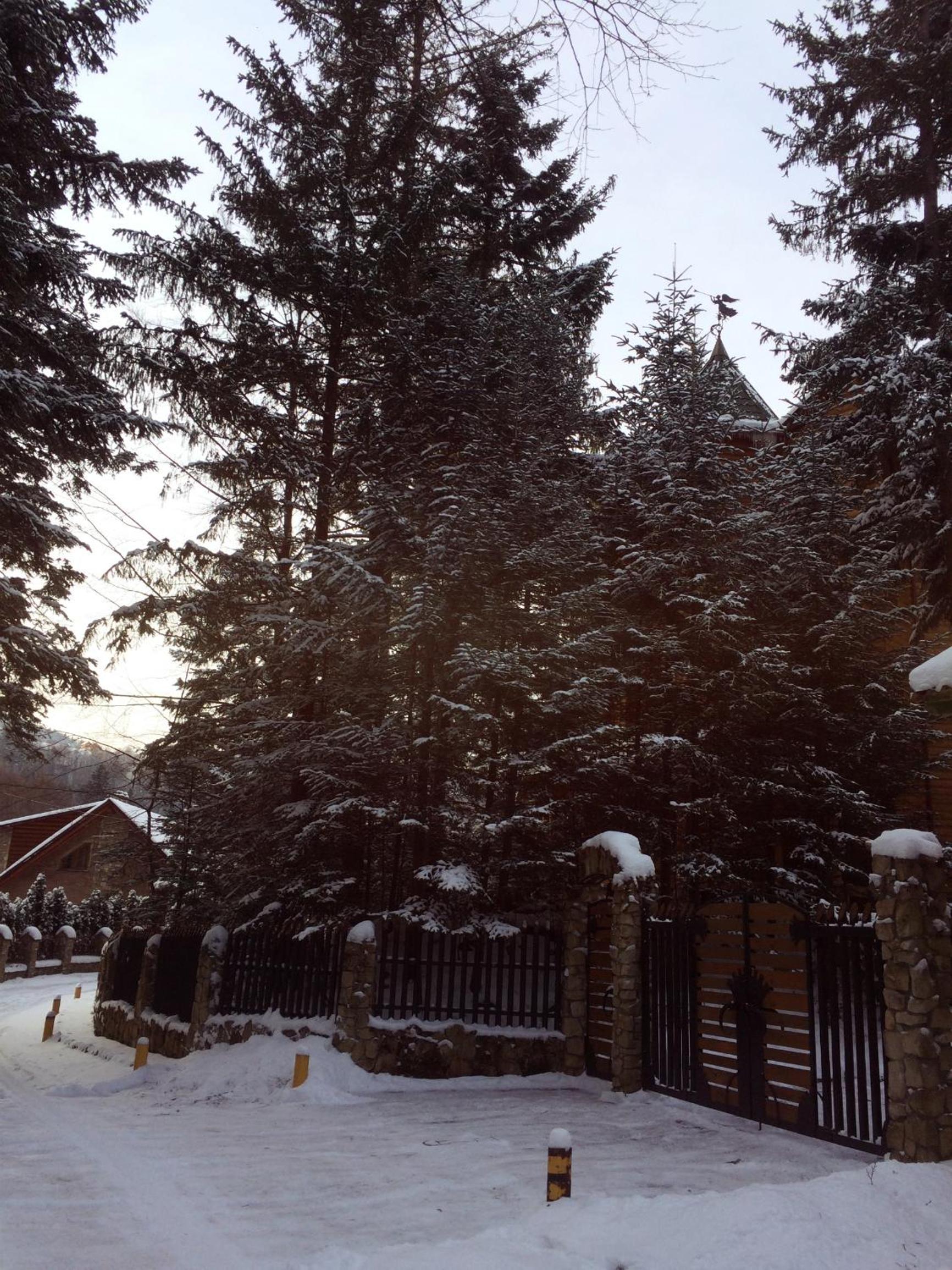 Villa Iris, photo 2