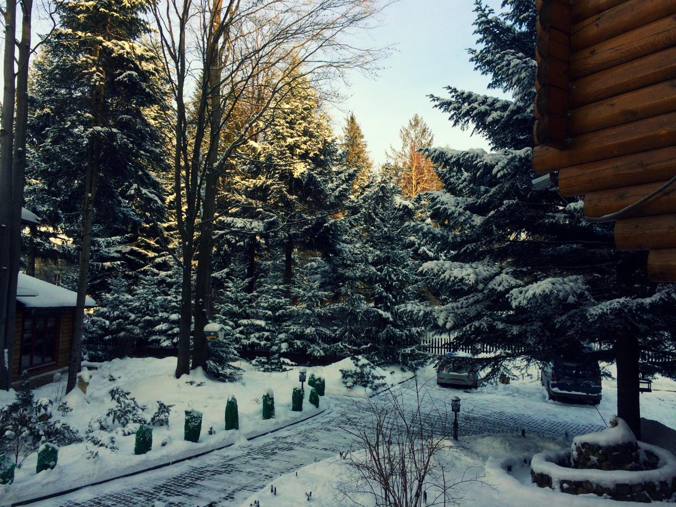 Villa Iris, photo 5