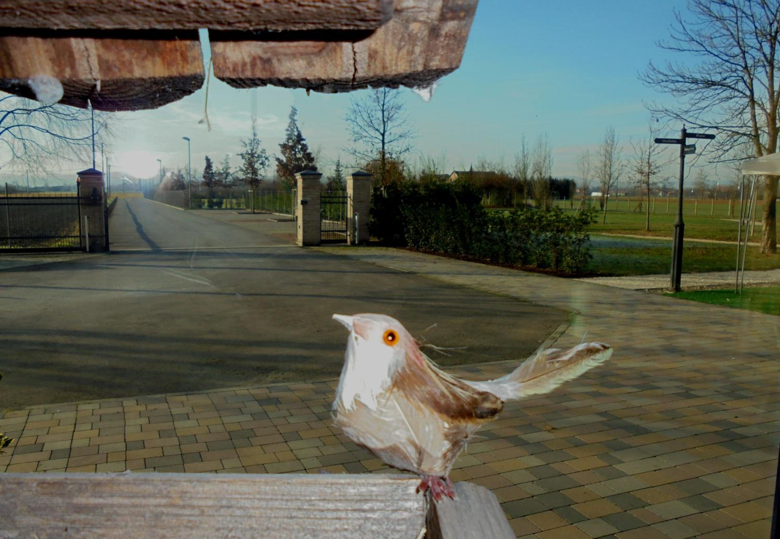 La Casa di Campagna - Property Image 100