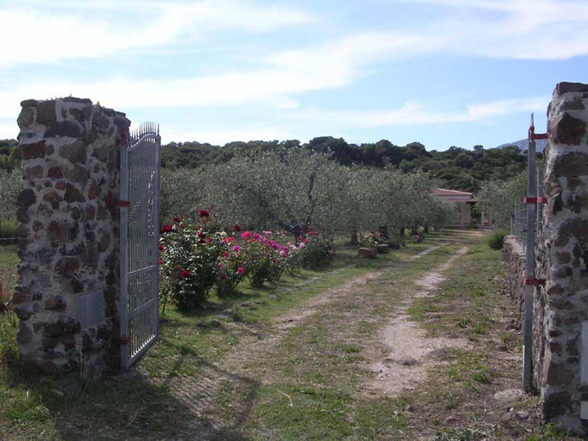 Villa degli Ulivi e delle Rose view 5