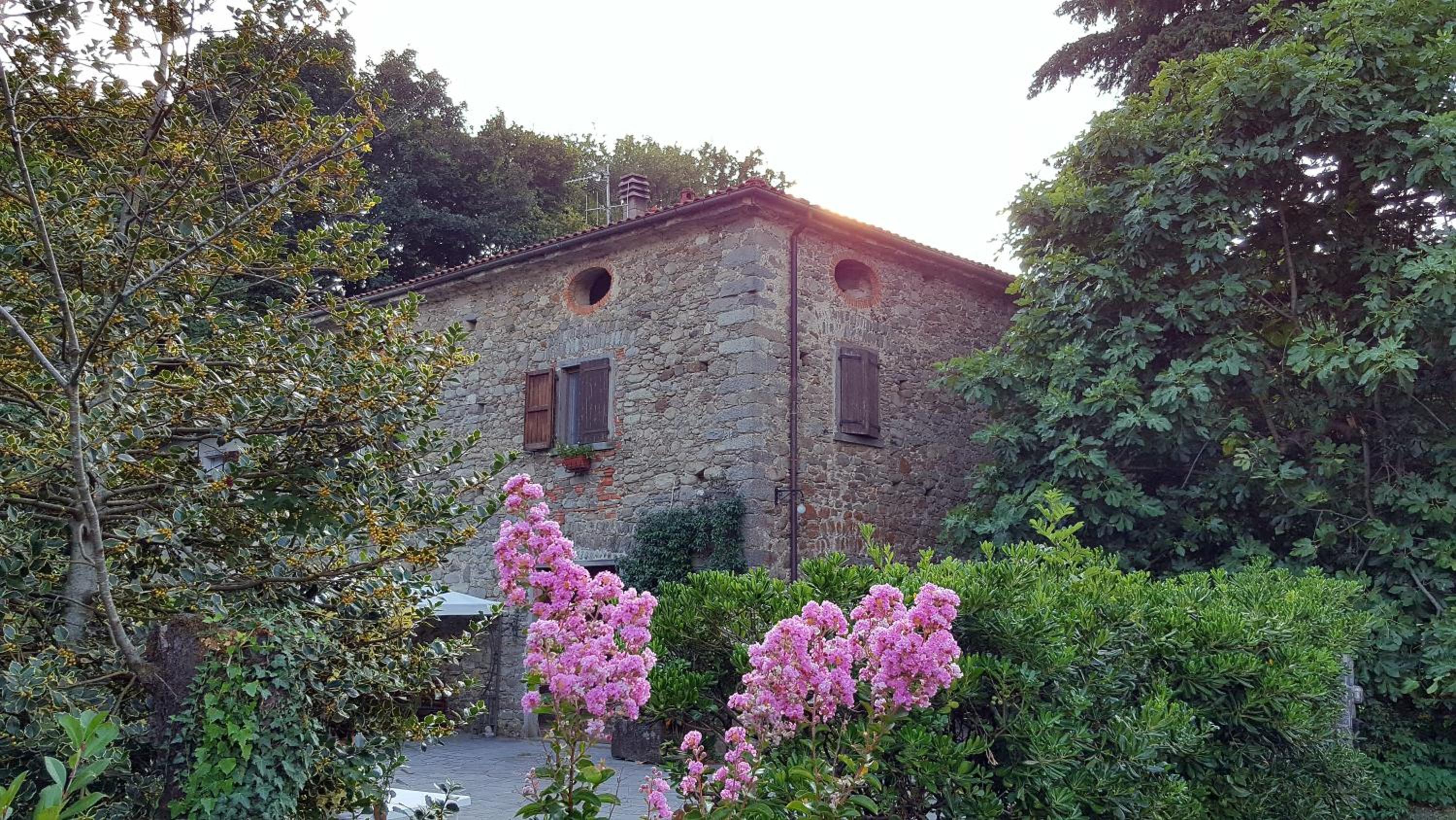 Photo 16