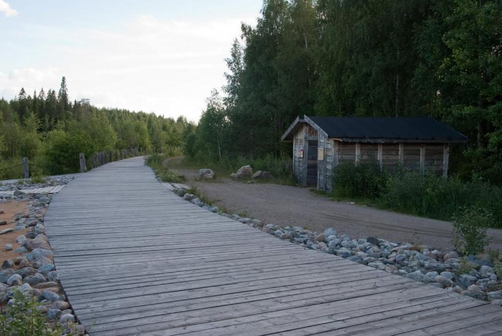Photo 44