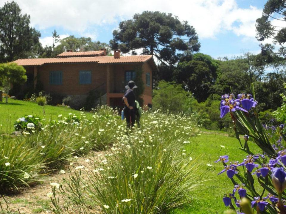 Photo 198