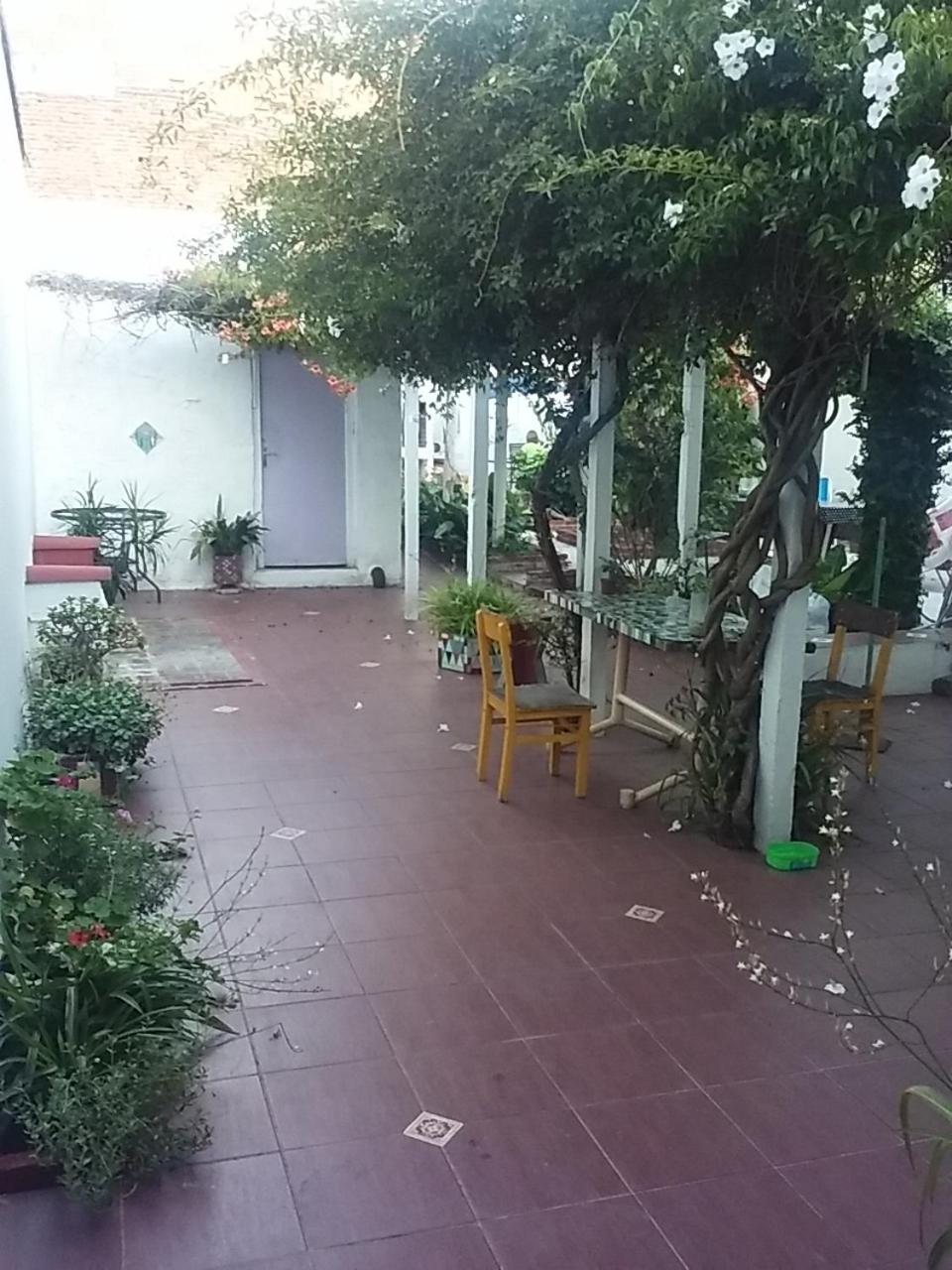 Stone Wasi en Montevideo — balance & terrace