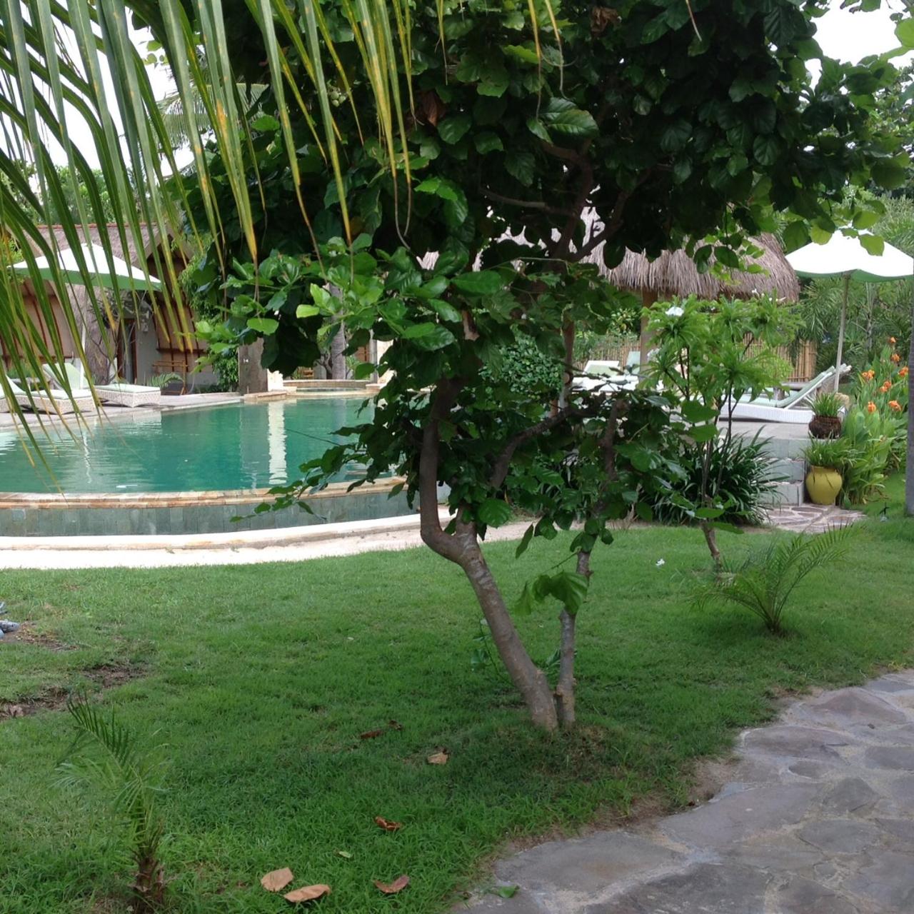 Photo 40