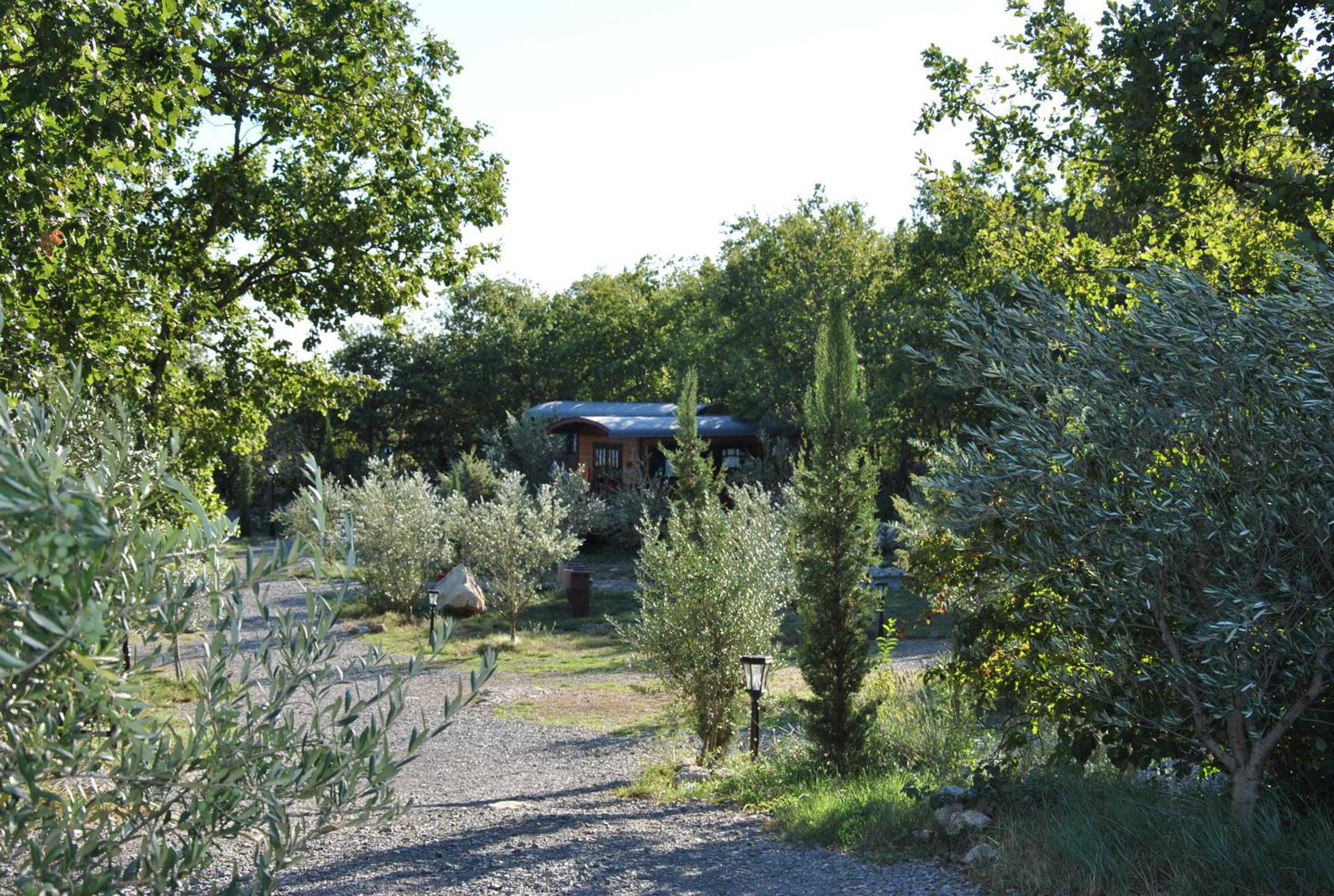 Photo 30