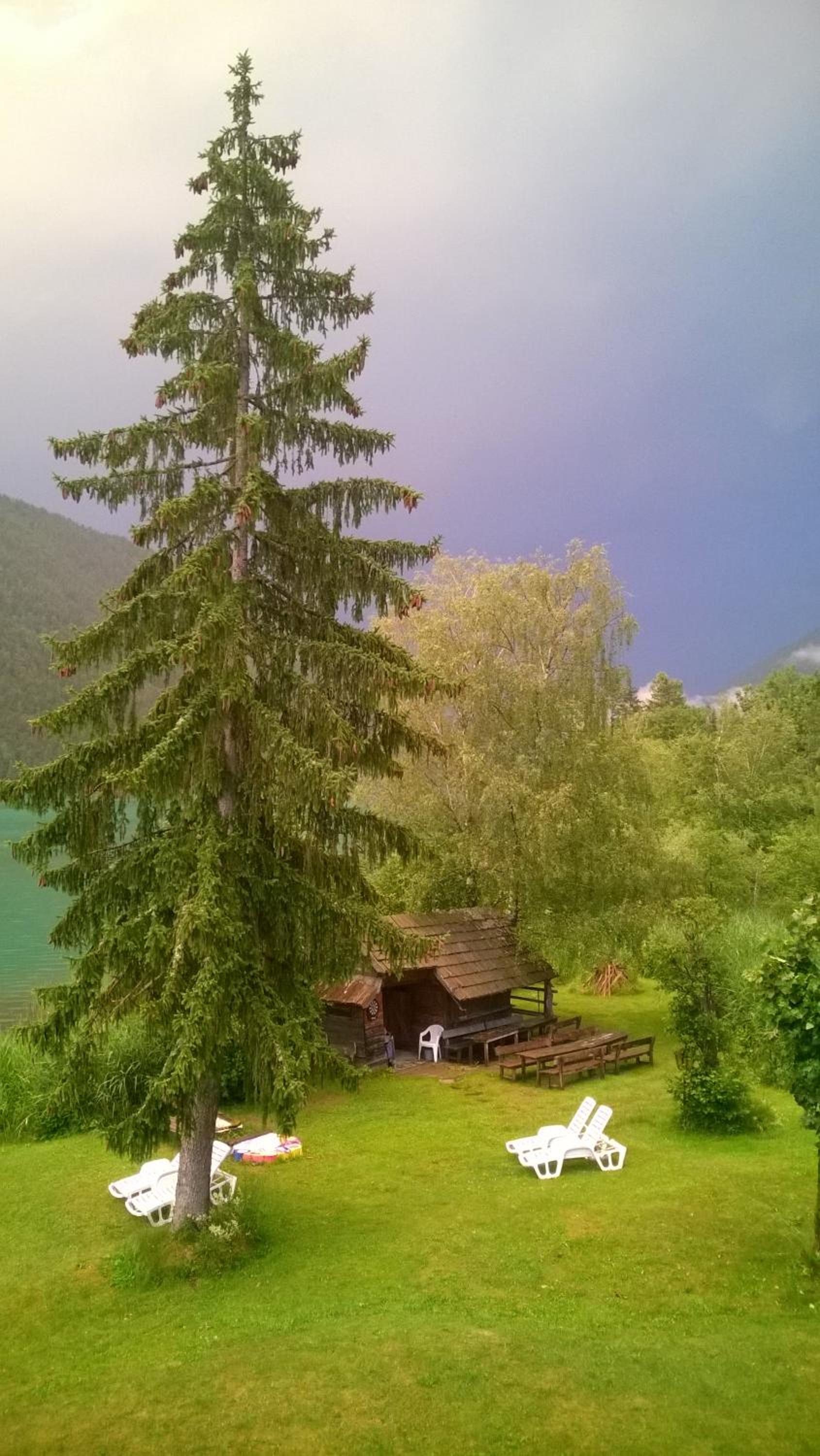 Photo 44