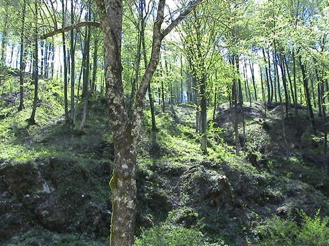 Photo 24