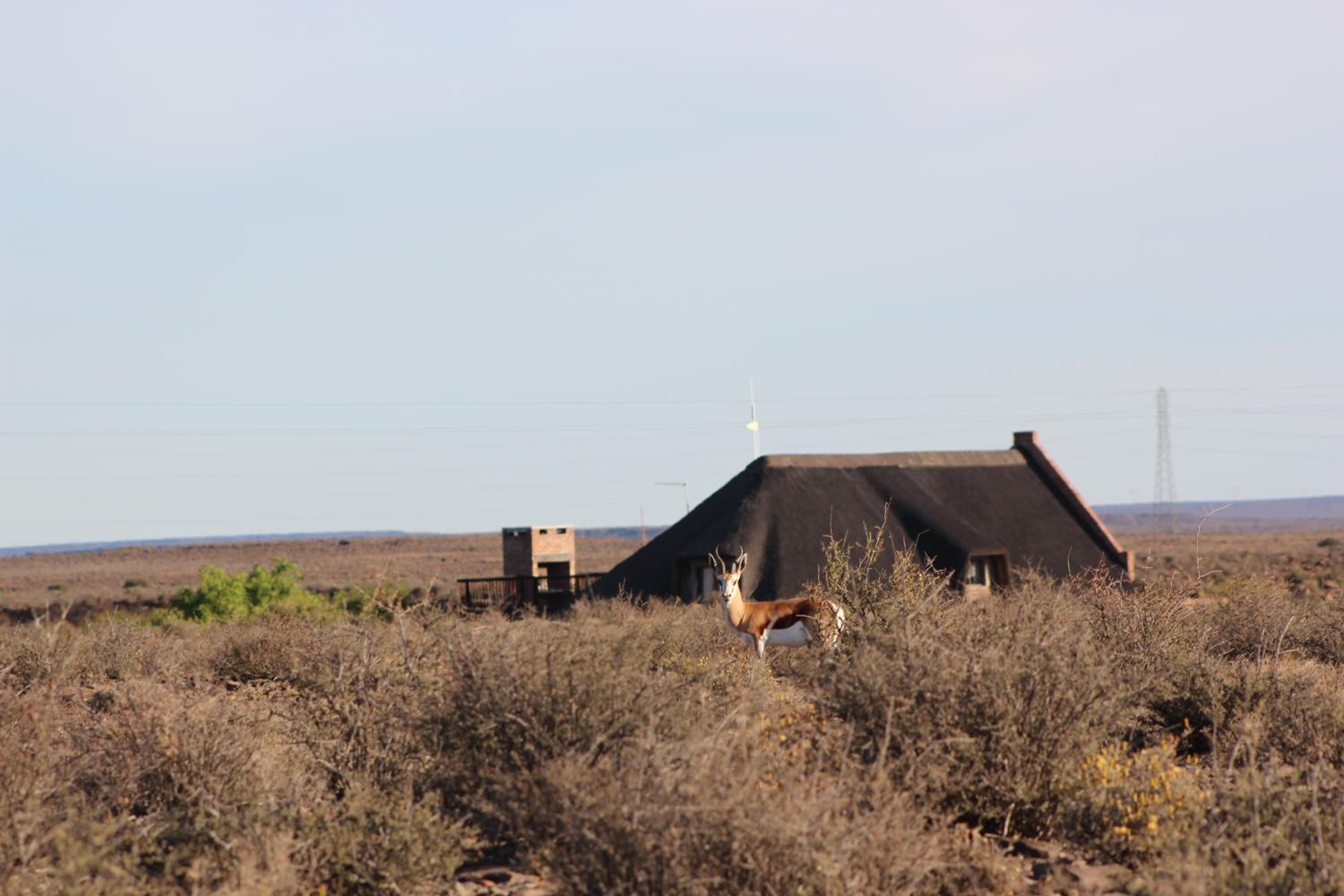 Teri-Lemveli Lodge