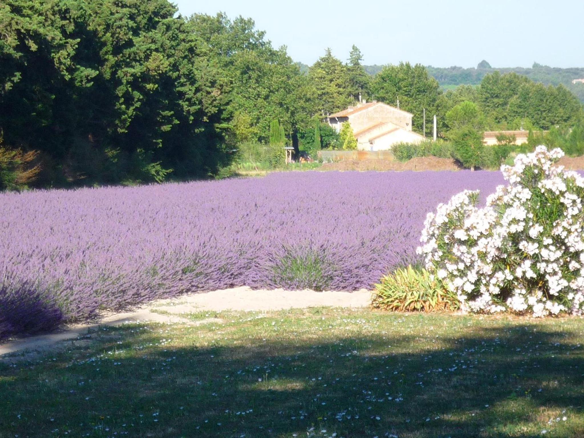 L'atelier des Coudelières, photo 8