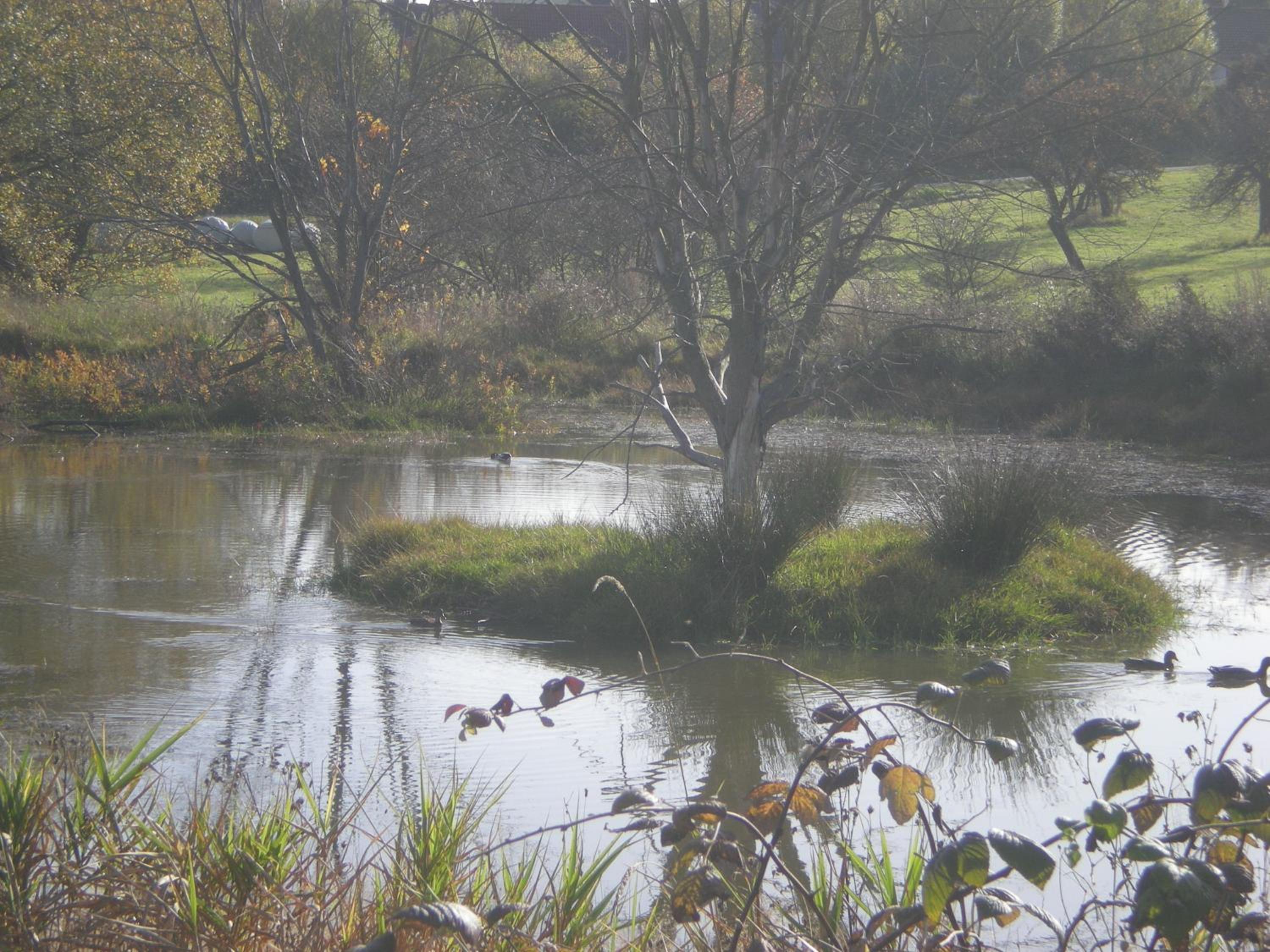 Photo 49