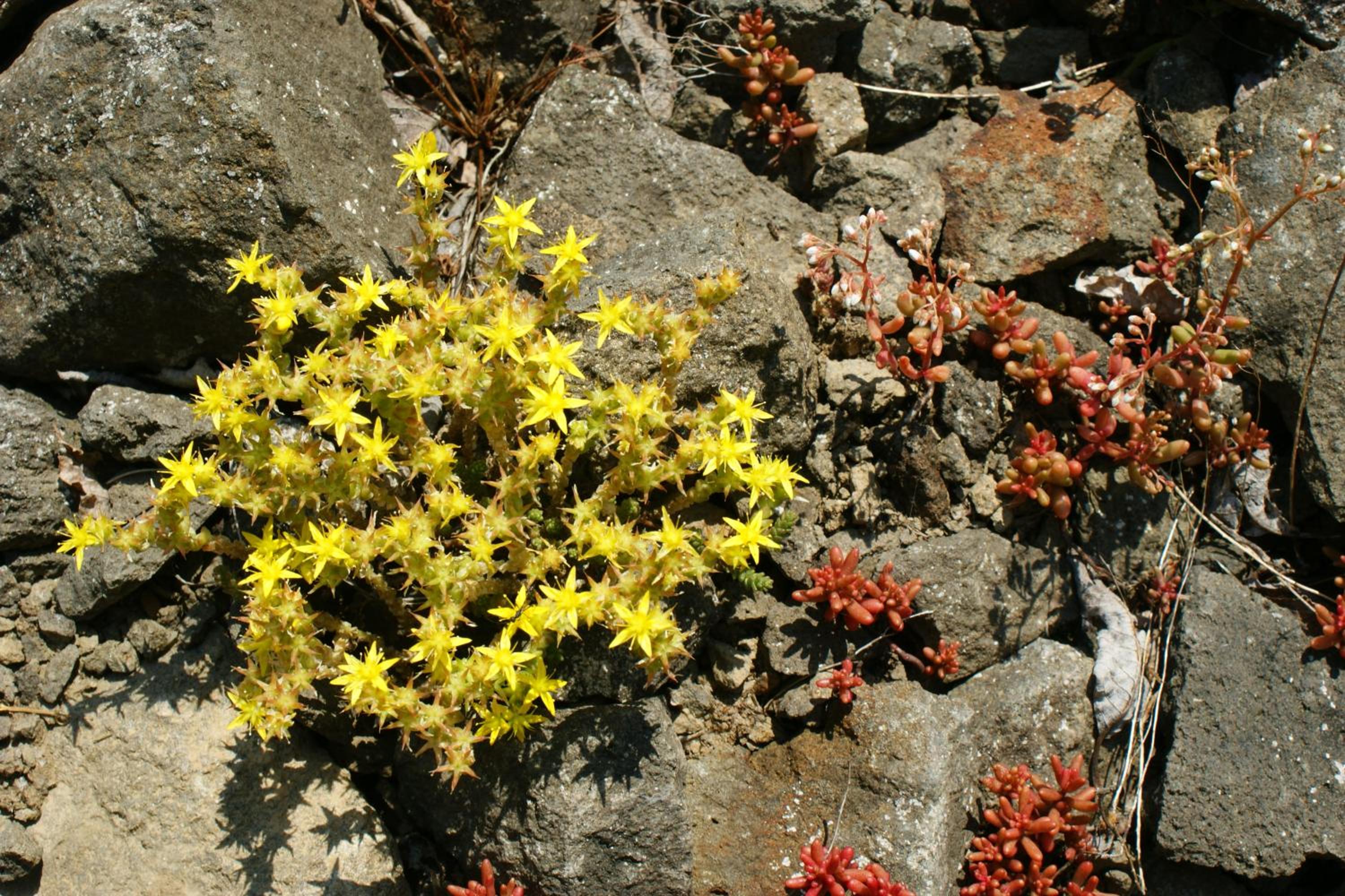 Photo 47