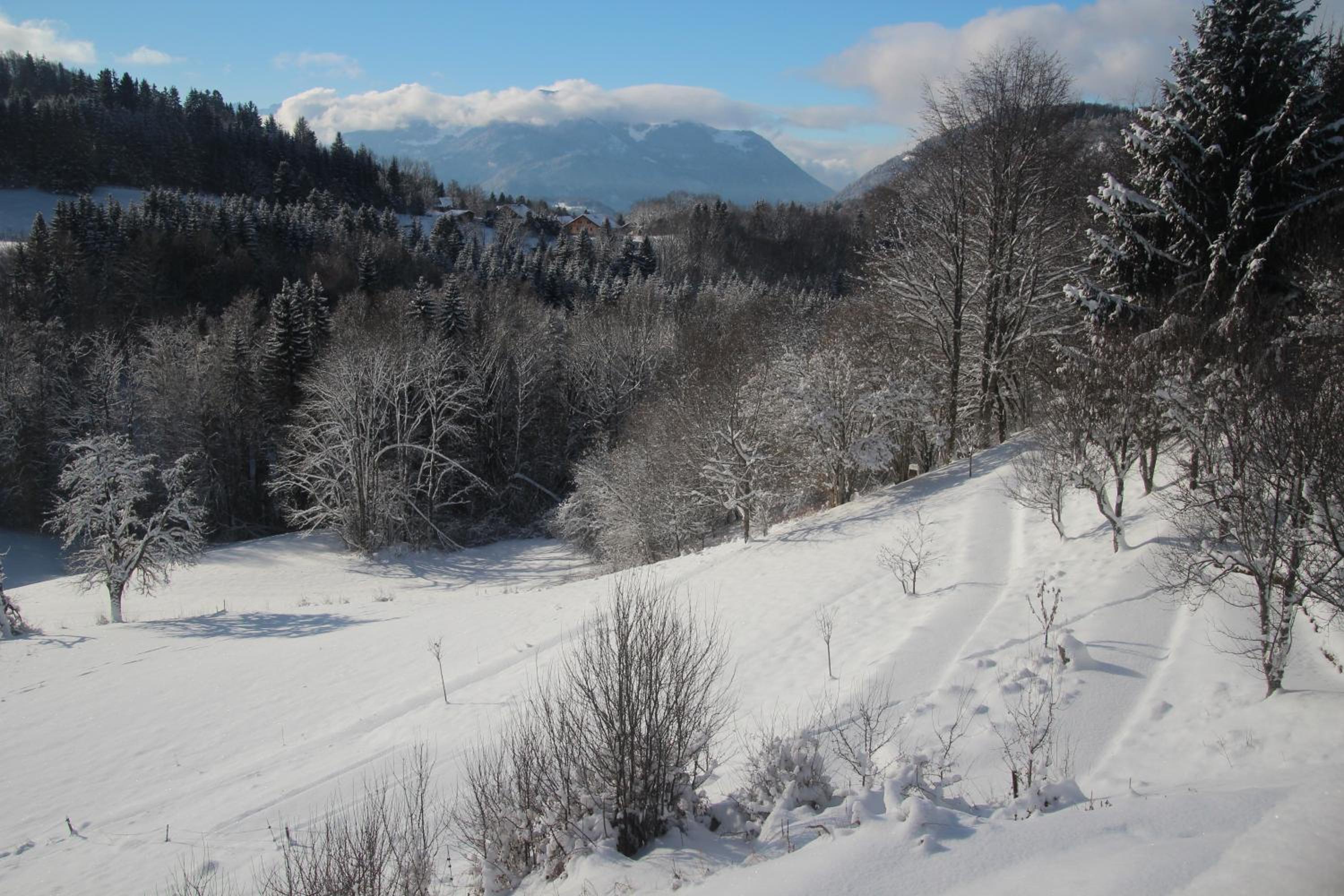 Chalet Eterlou