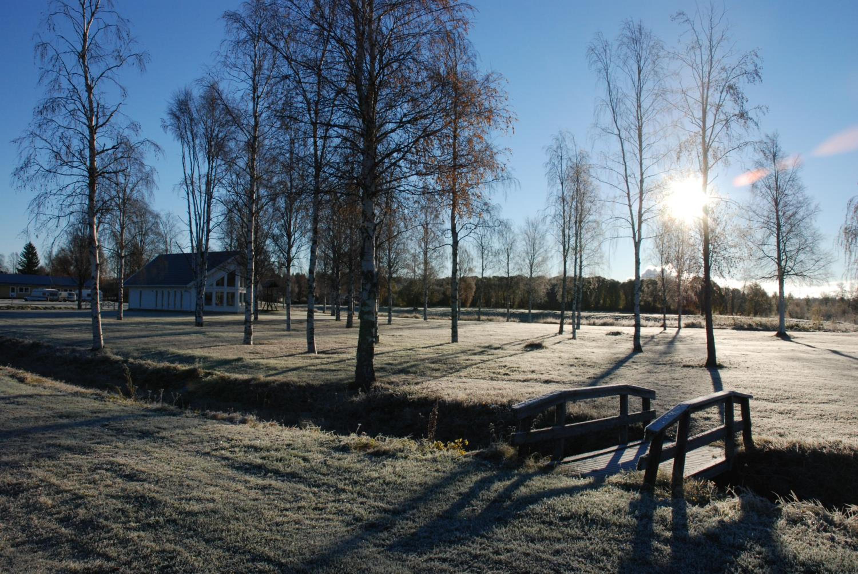 Photo 46