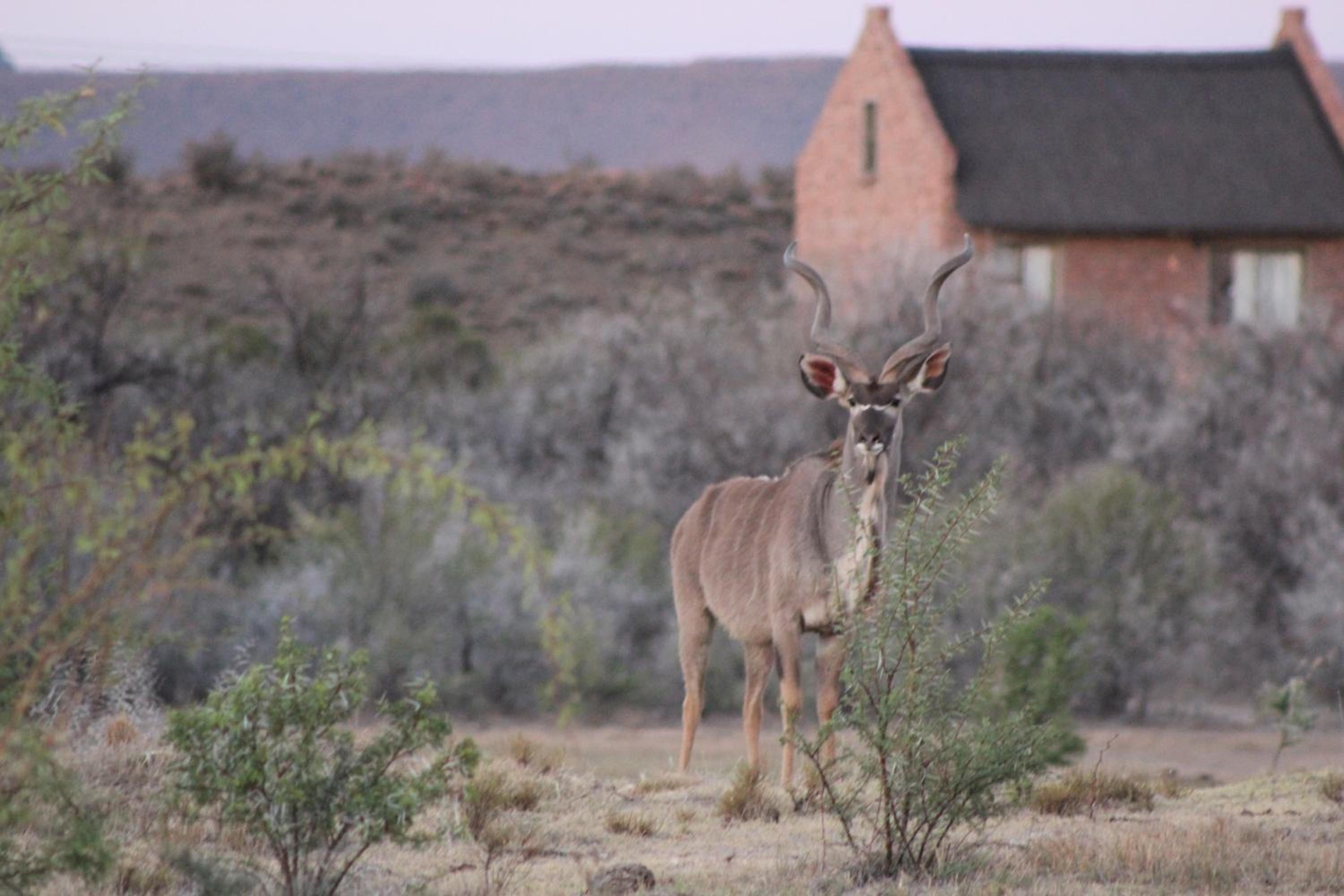 Teri-Lemveli Lodge