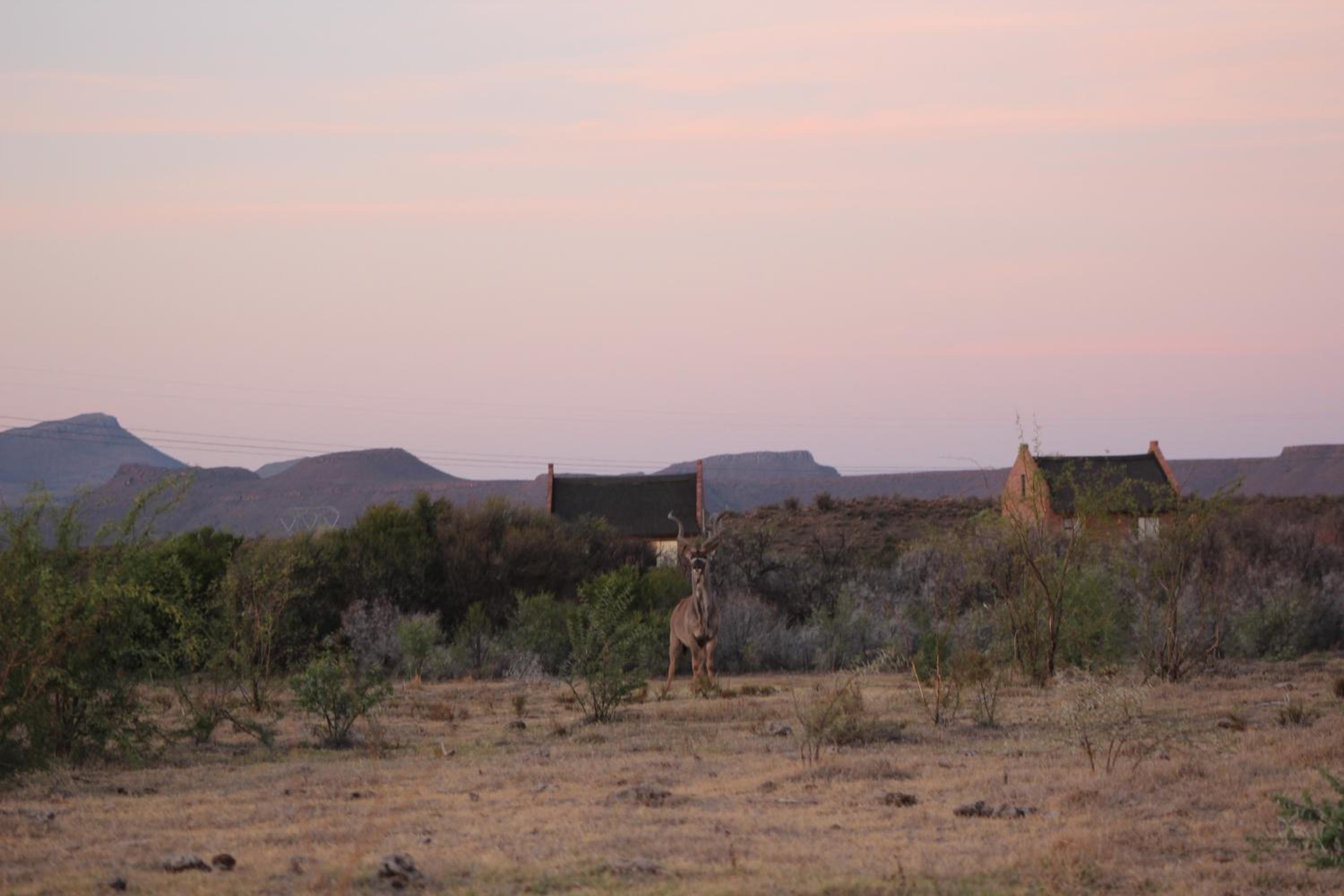 Teri-Lemveli Lodge