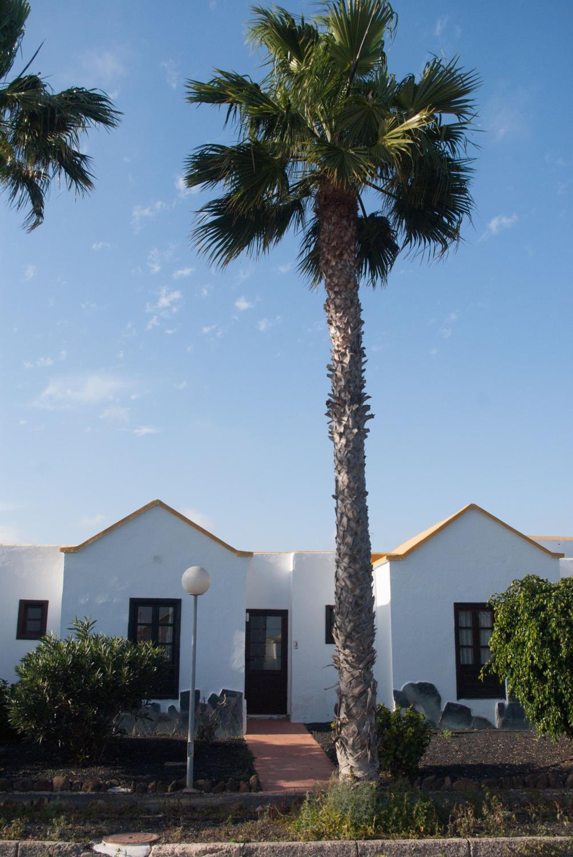 Bungalow Montecastillo 2 view 2