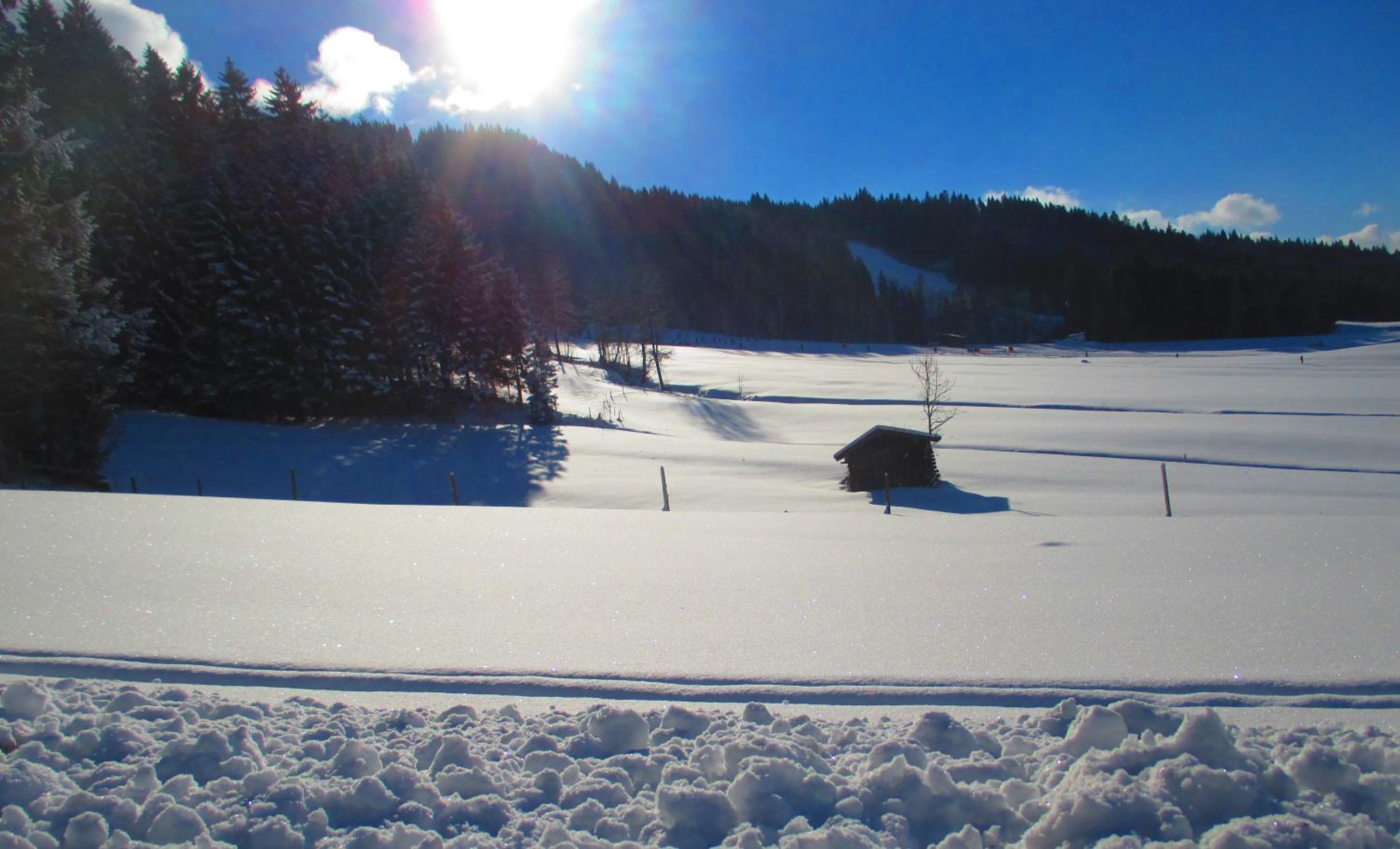 Griesbachhof-Wilder Kaiser