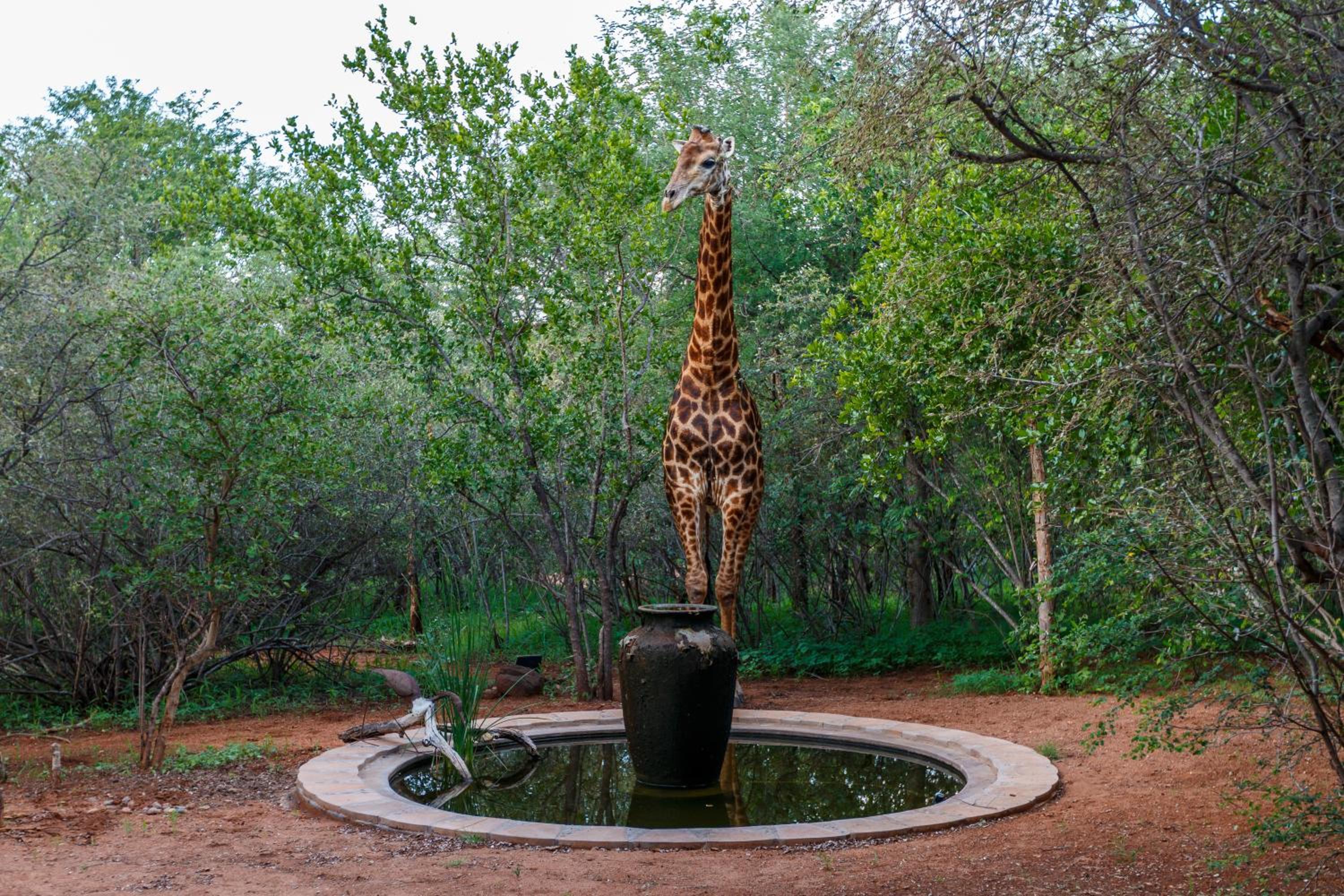 Shikwari Nature Reserve