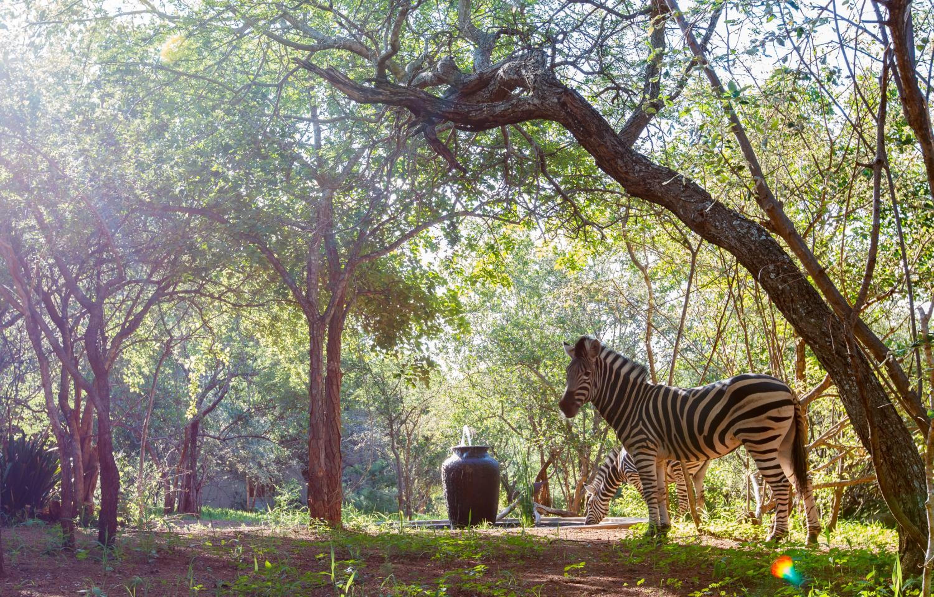 Shikwari Nature Reserve