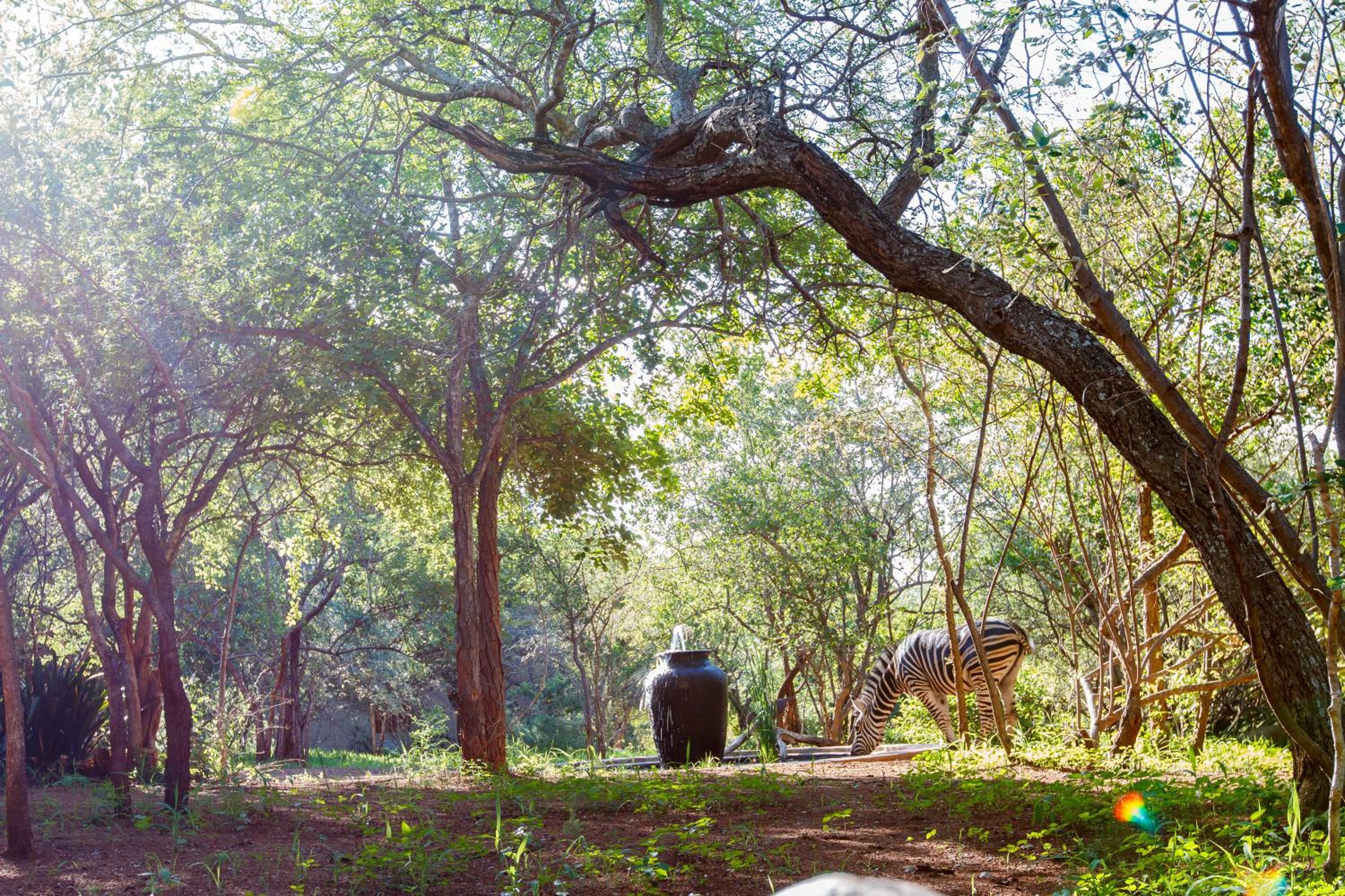 Shikwari Nature Reserve