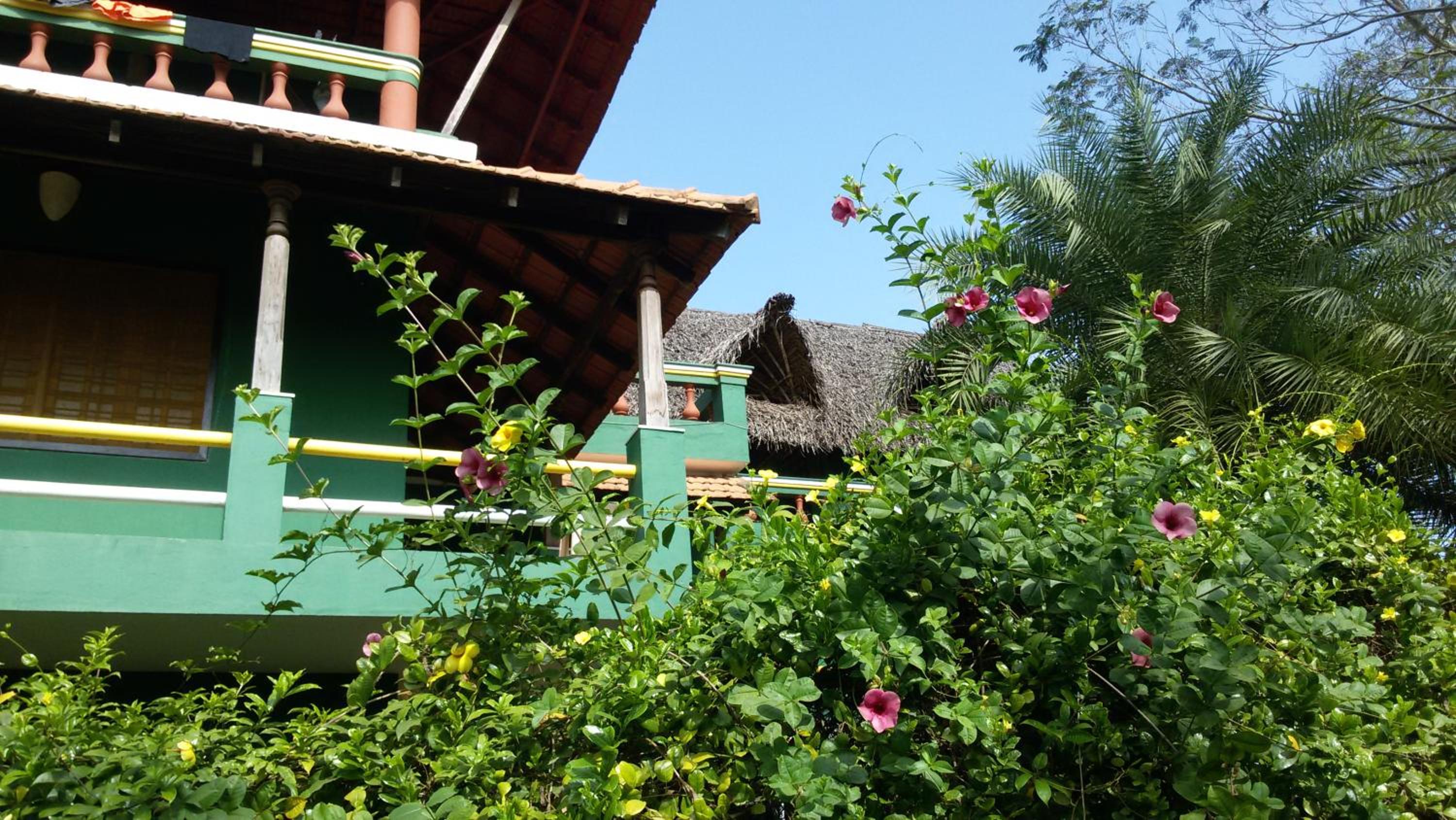 Photo 45