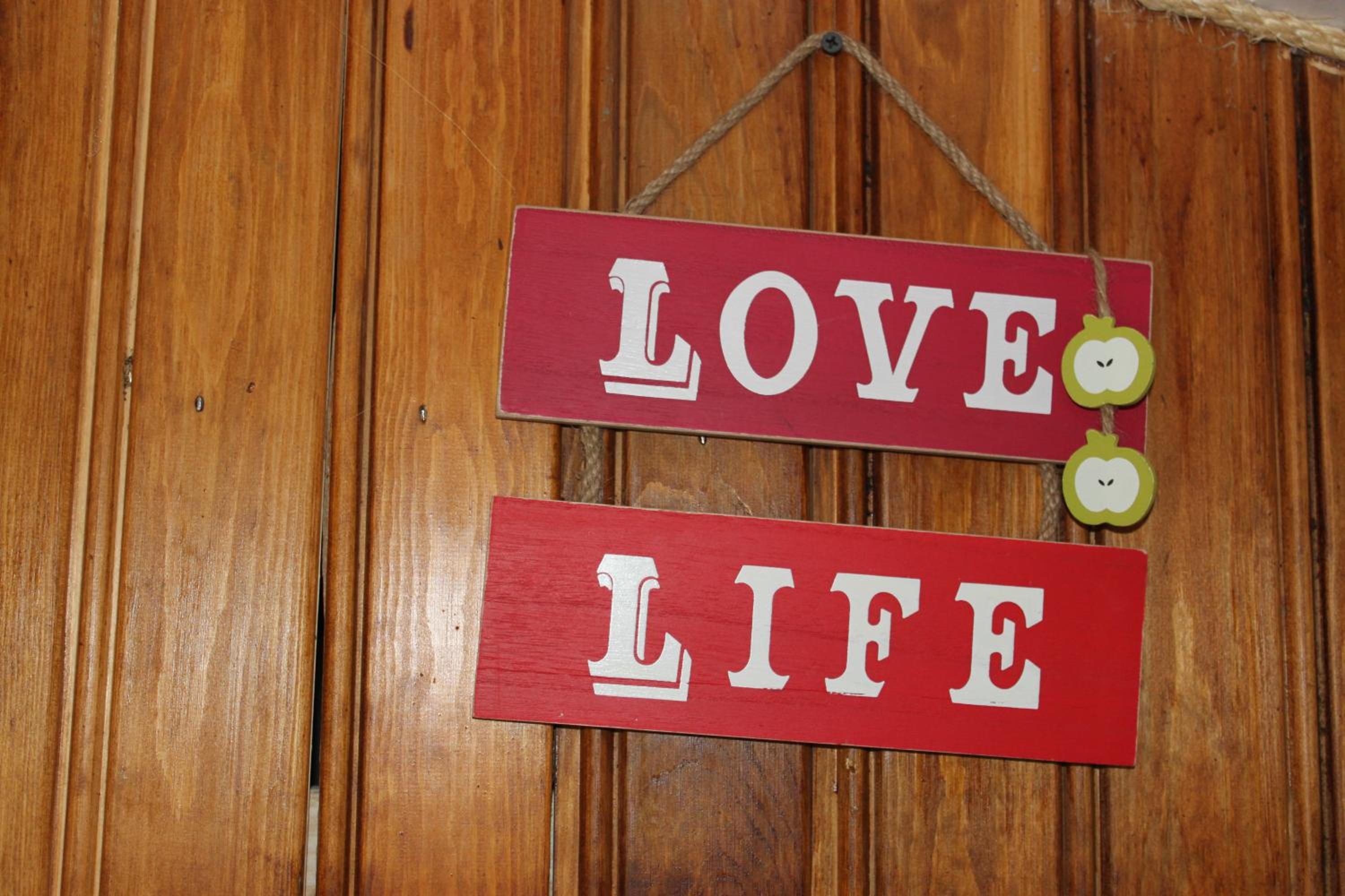 The Old Apple Shed cosy heated cottage in a meadow close to the charming village of Bethersden view 5