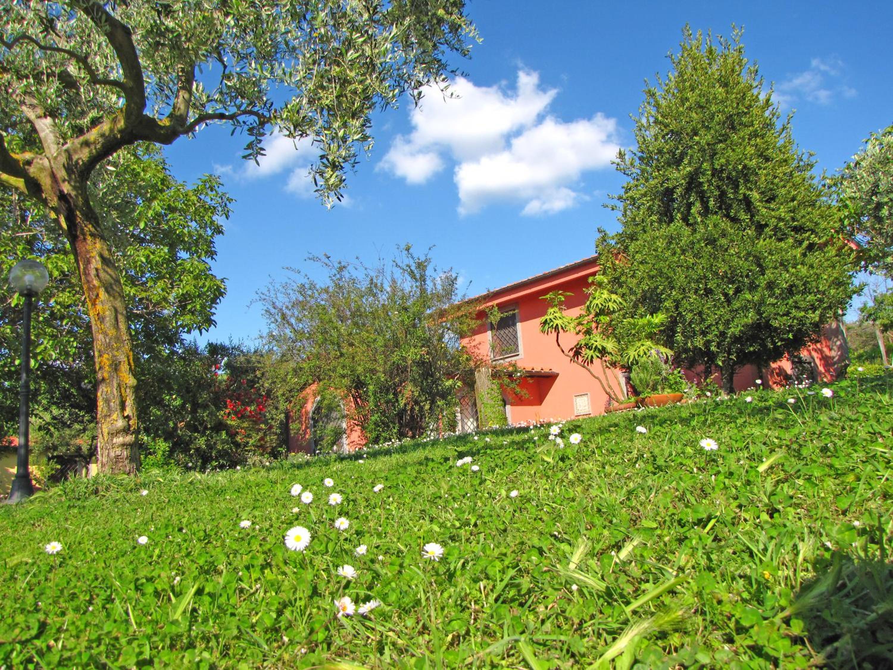 B&B Ai Glicini Castelli Romani view 2