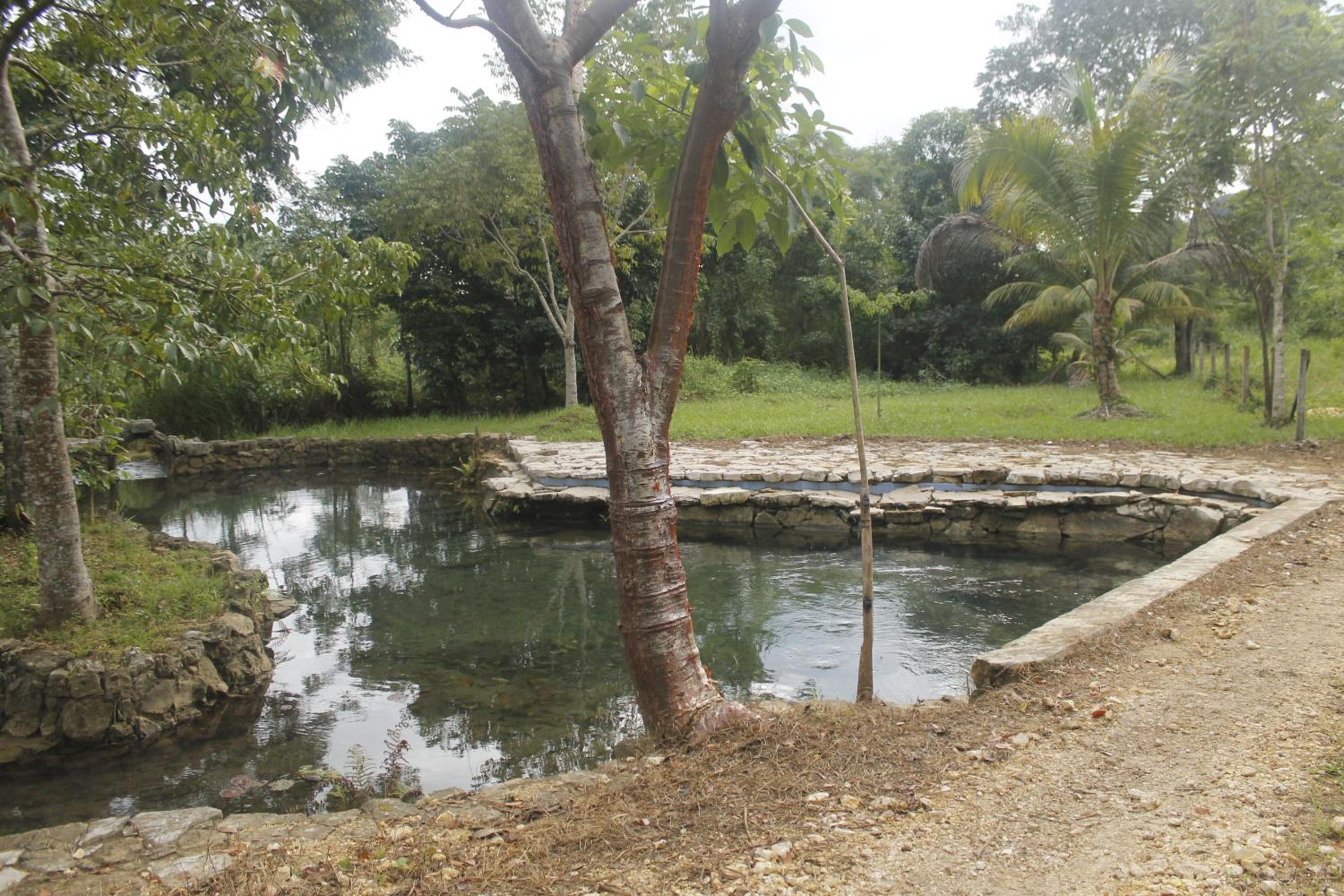 Photo 15