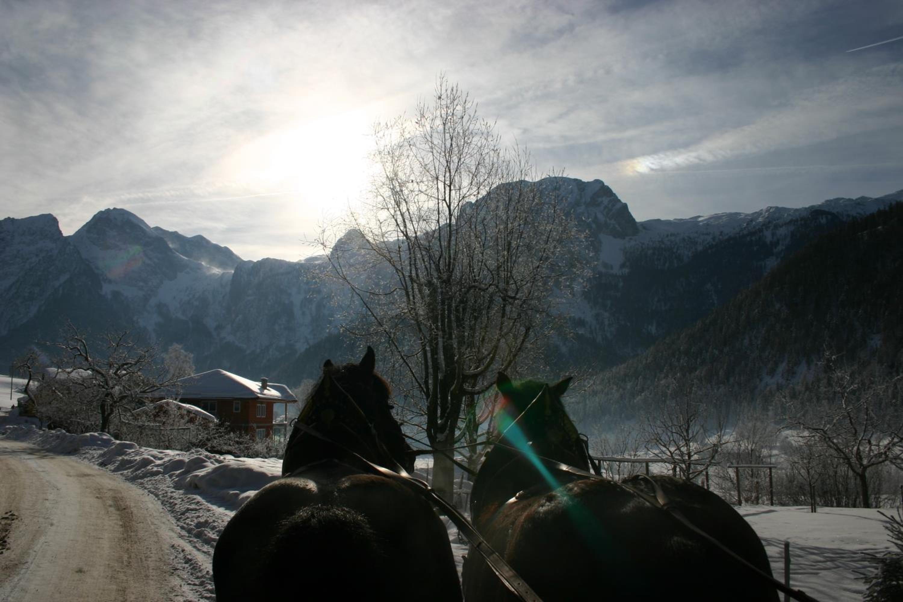 Schörghof