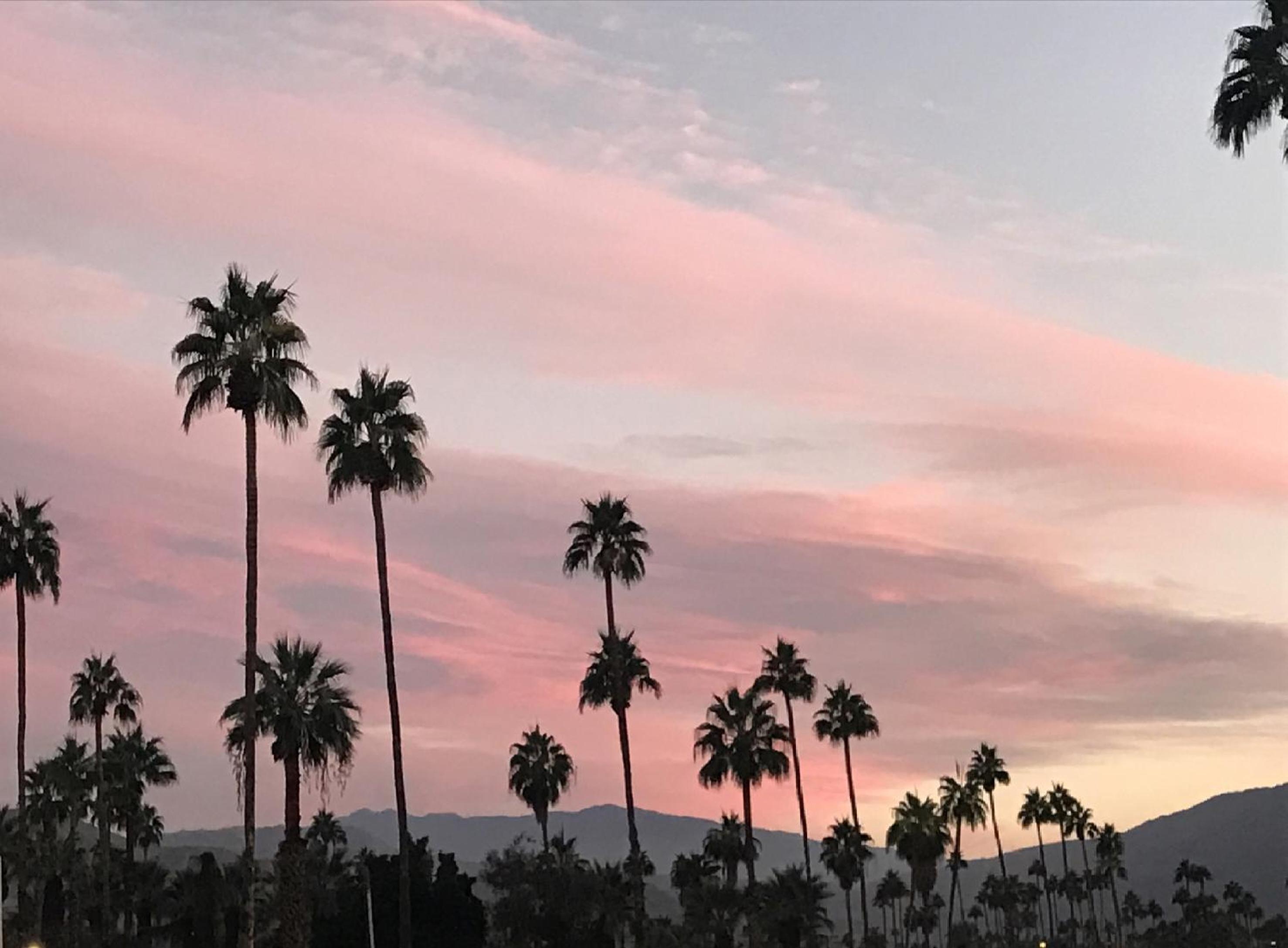 Delos Reyes Palm Springs