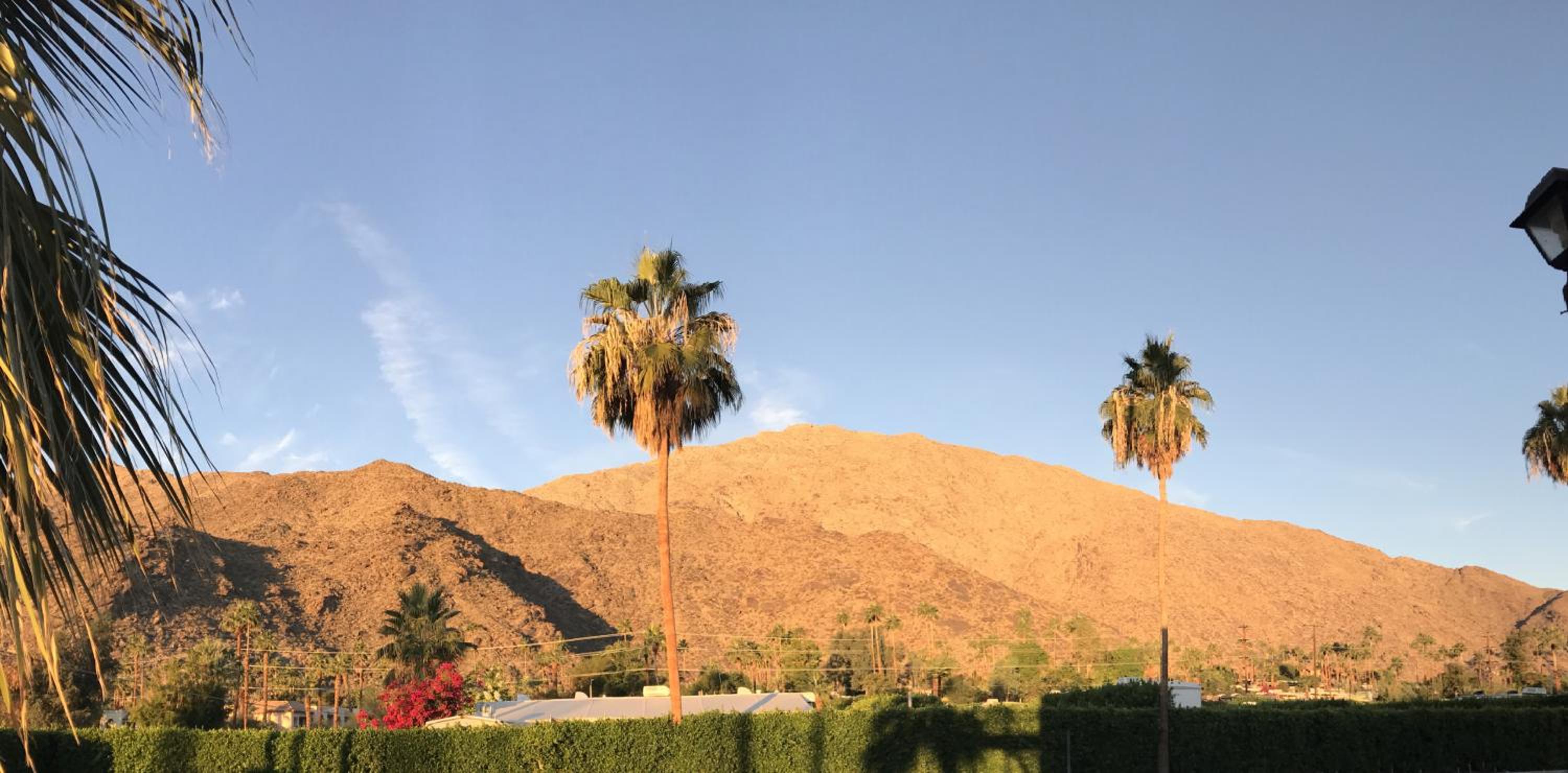 Delos Reyes Palm Springs