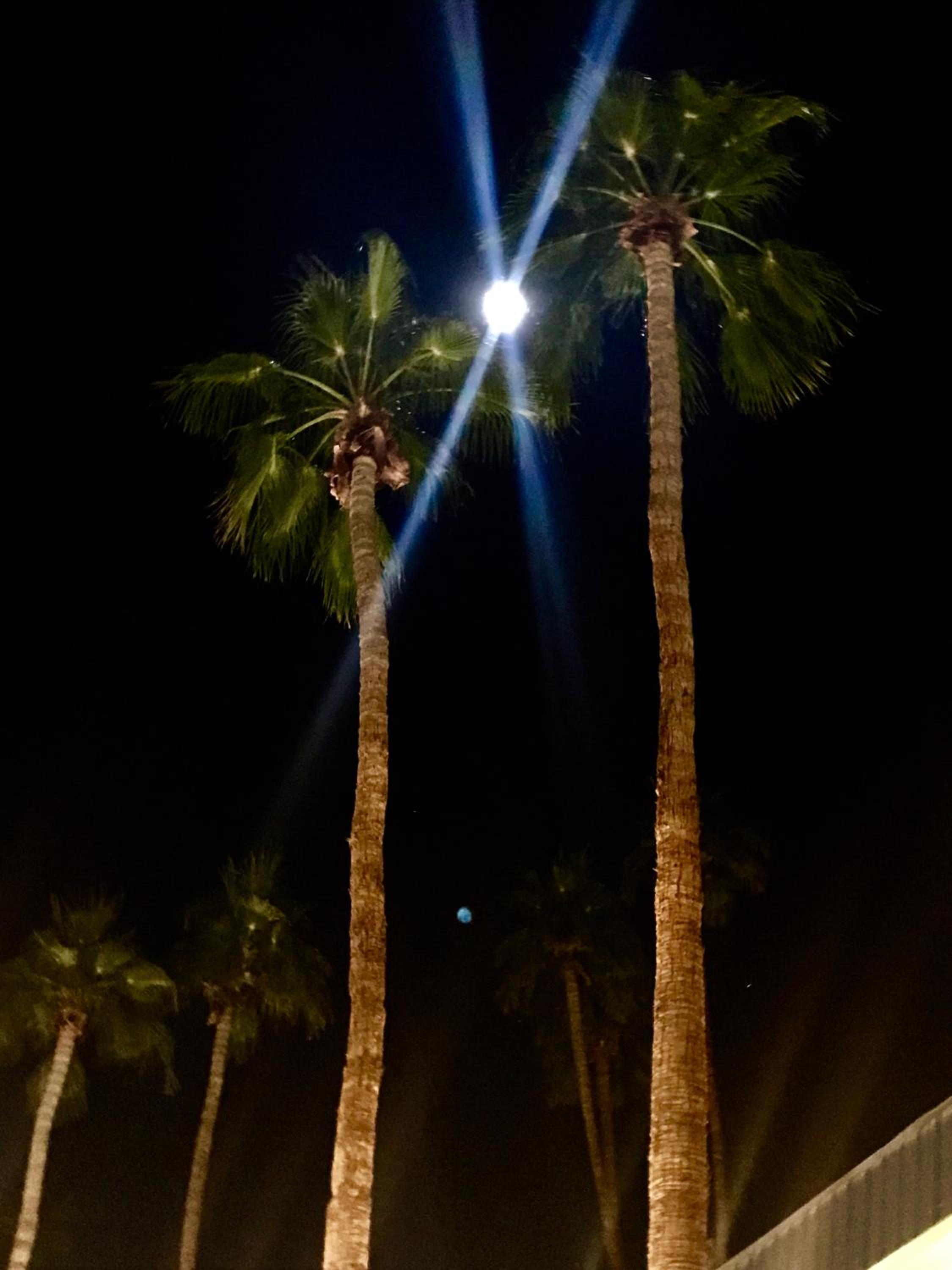 Delos Reyes Palm Springs
