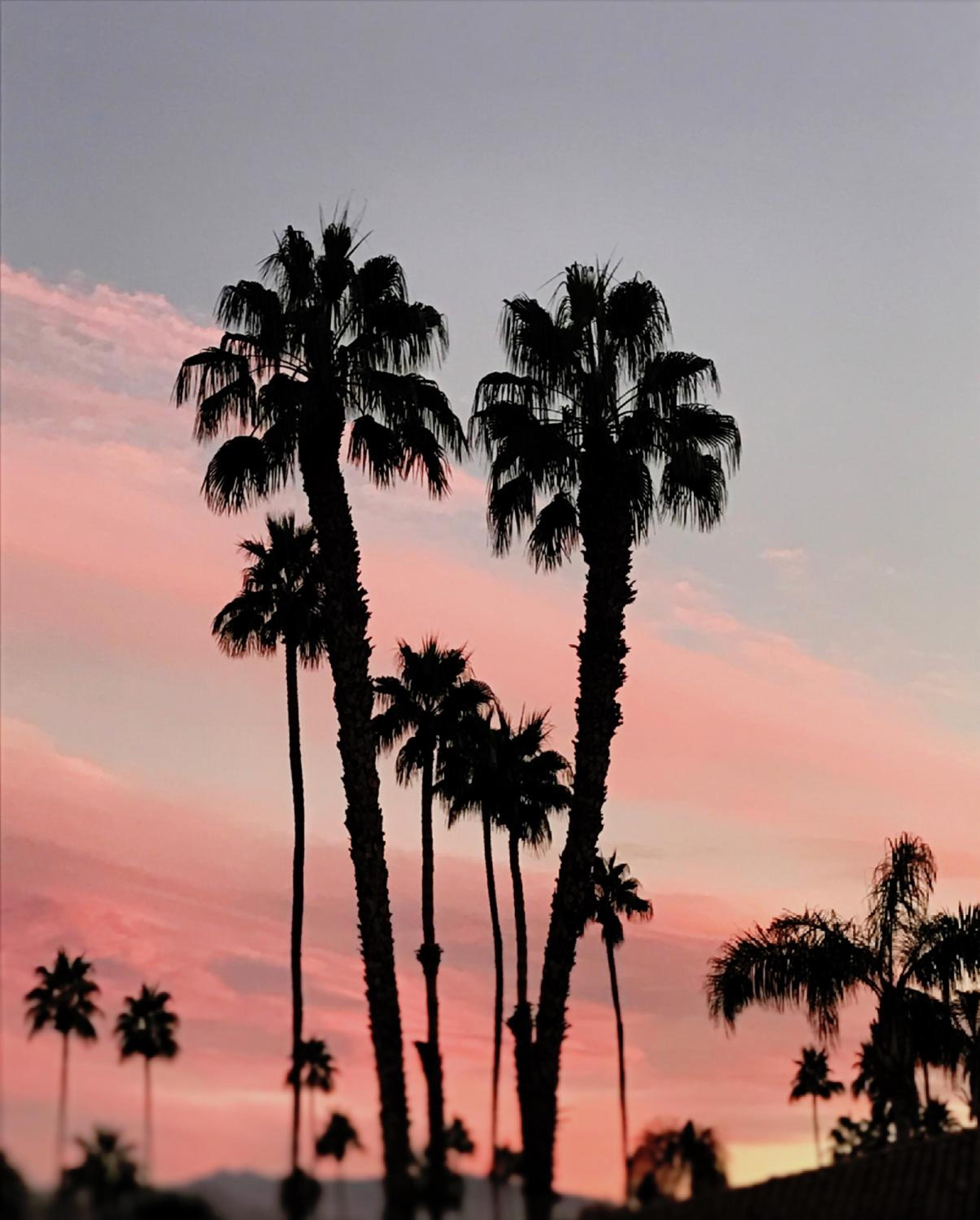 Delos Reyes Palm Springs